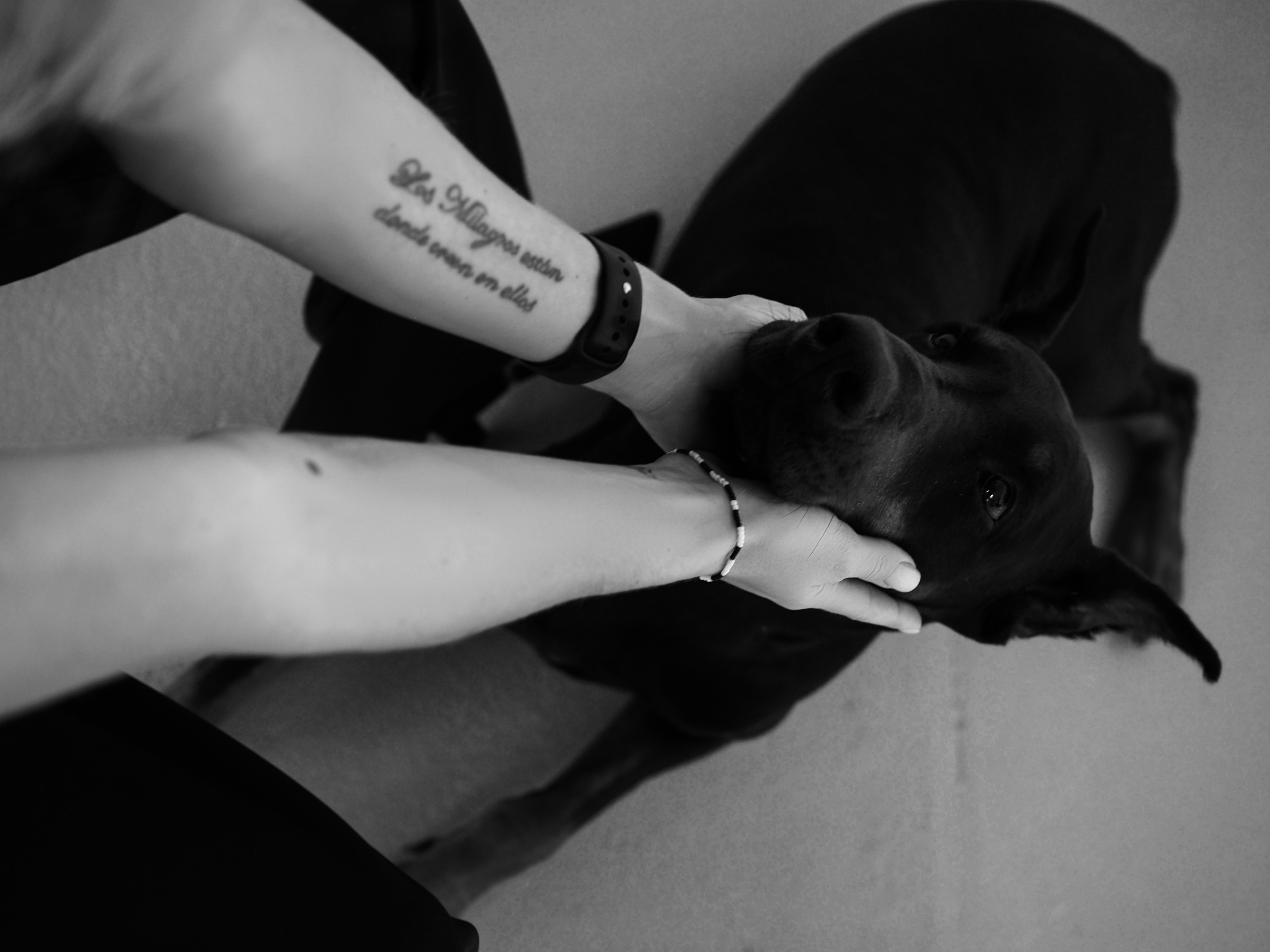 Катя. Фотограф Смоленск Дина Петровская