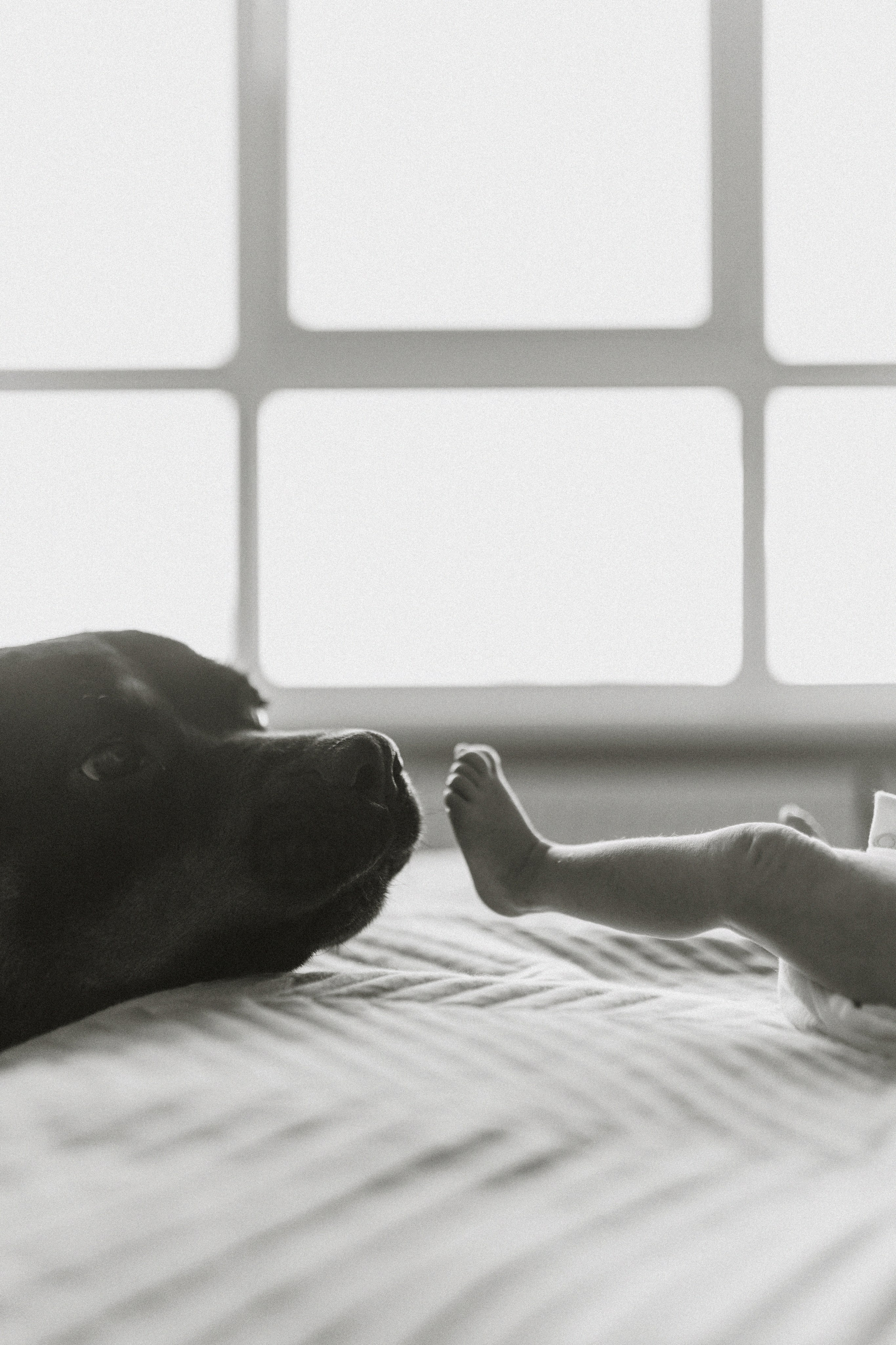 Фотосессия дома с малышом. Семейный фотограф Екатеринбург Черепанова Олеся