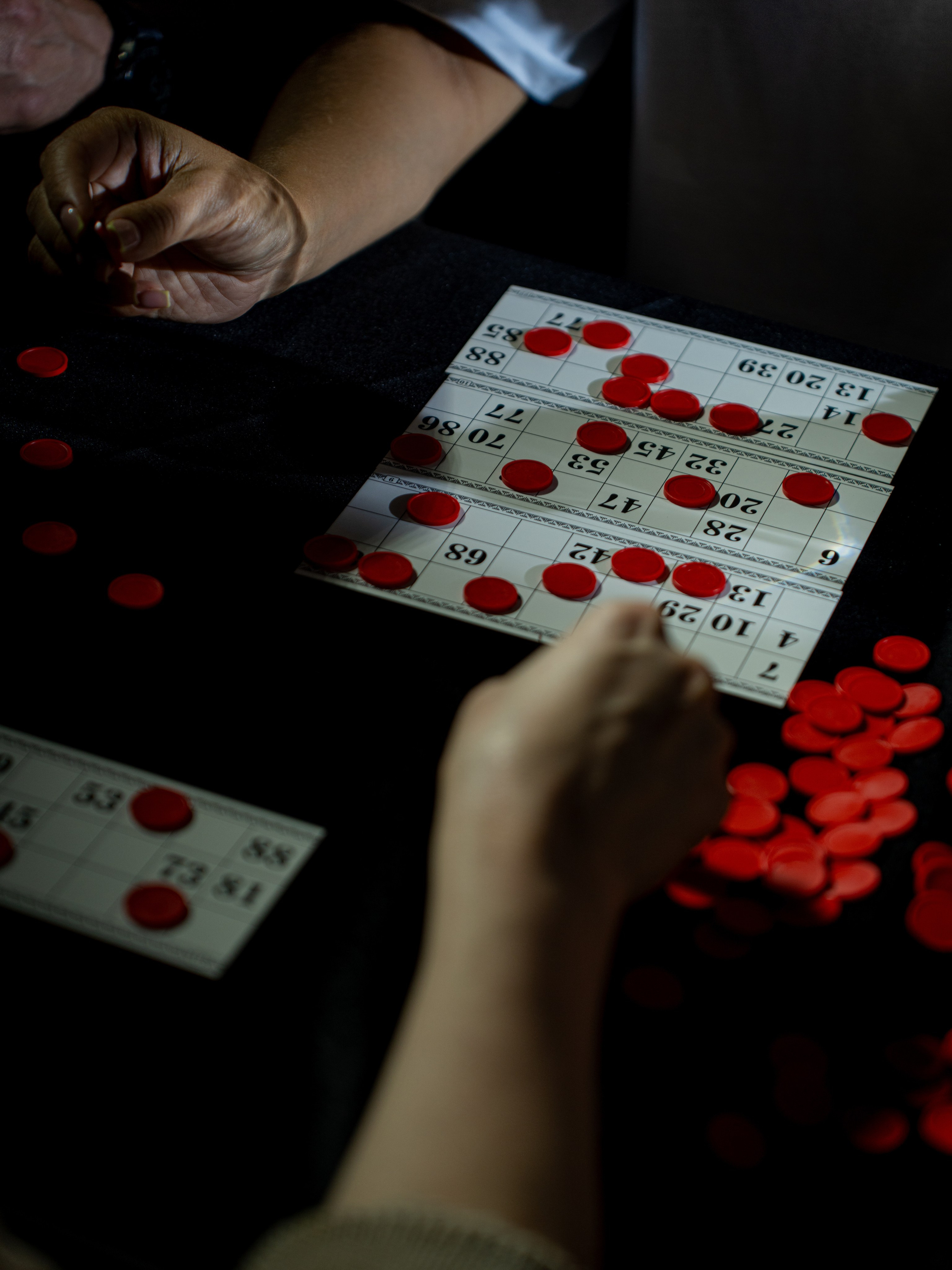 Бабр 2025. Фотограф в Иркутске на все важные случаи жизни