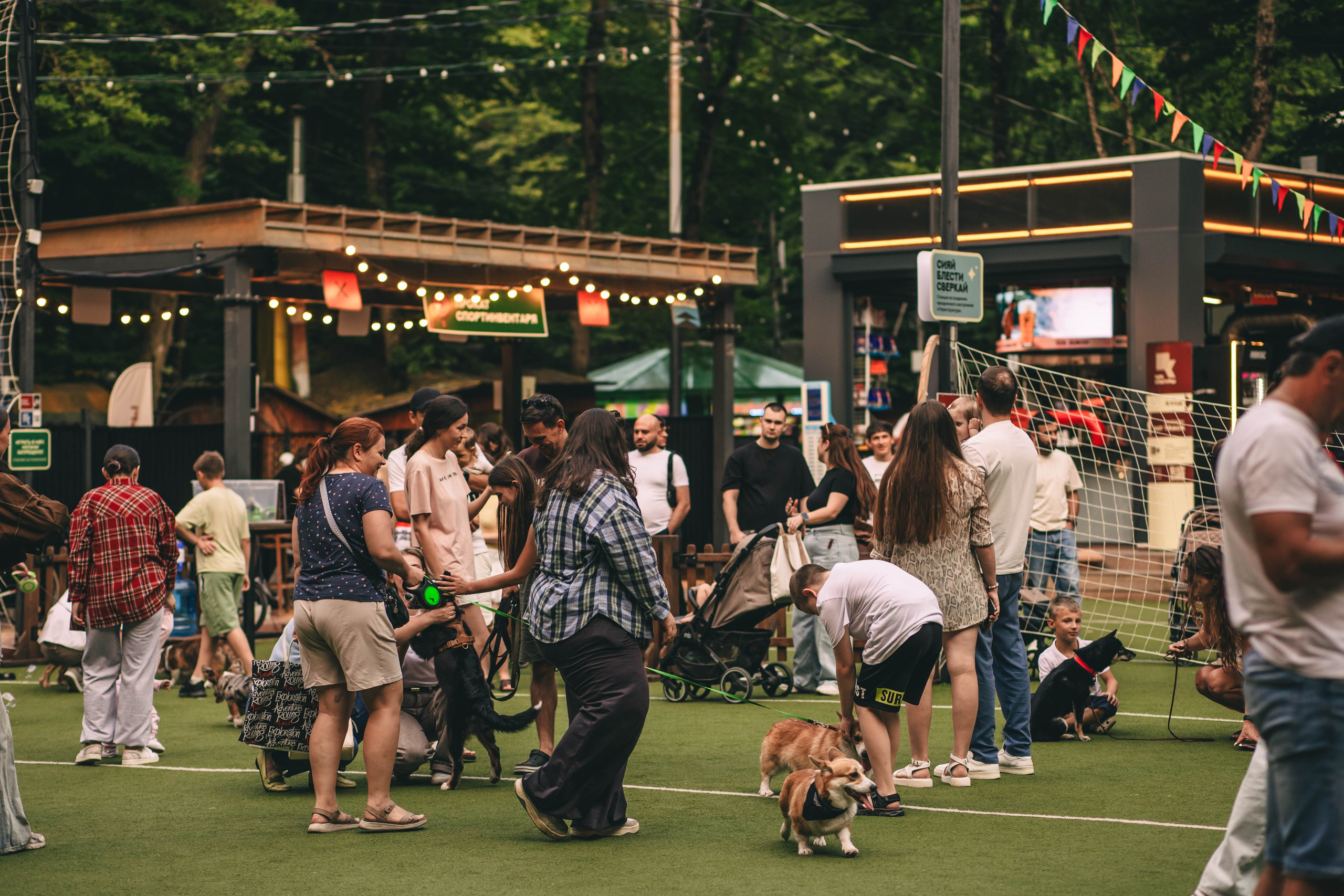 Pet-Party + Live-music |Парк Культуры. Фотограф в Ставрополе Алина Клочкова