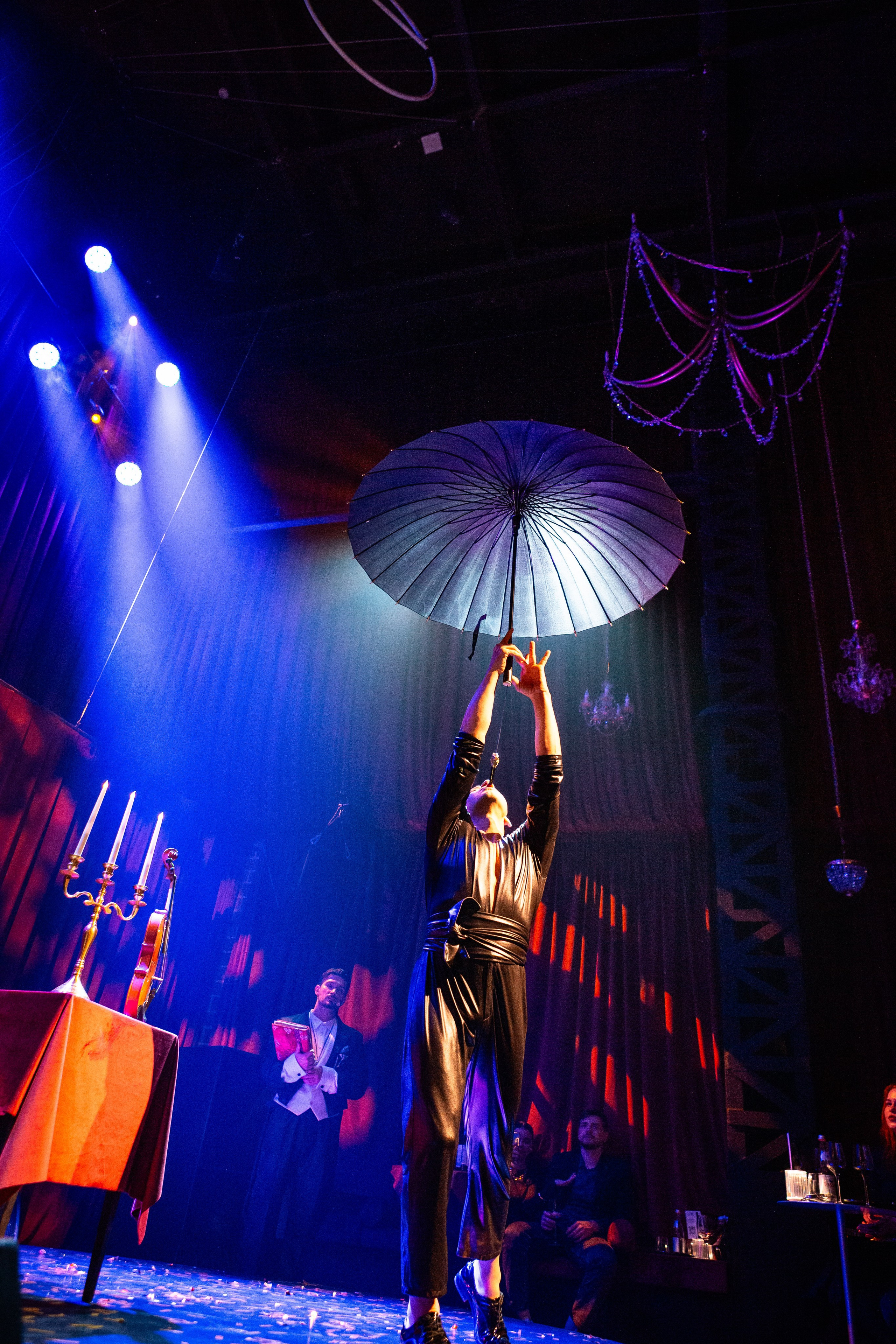 Цирковое шоу. Видеограф Добромыслов