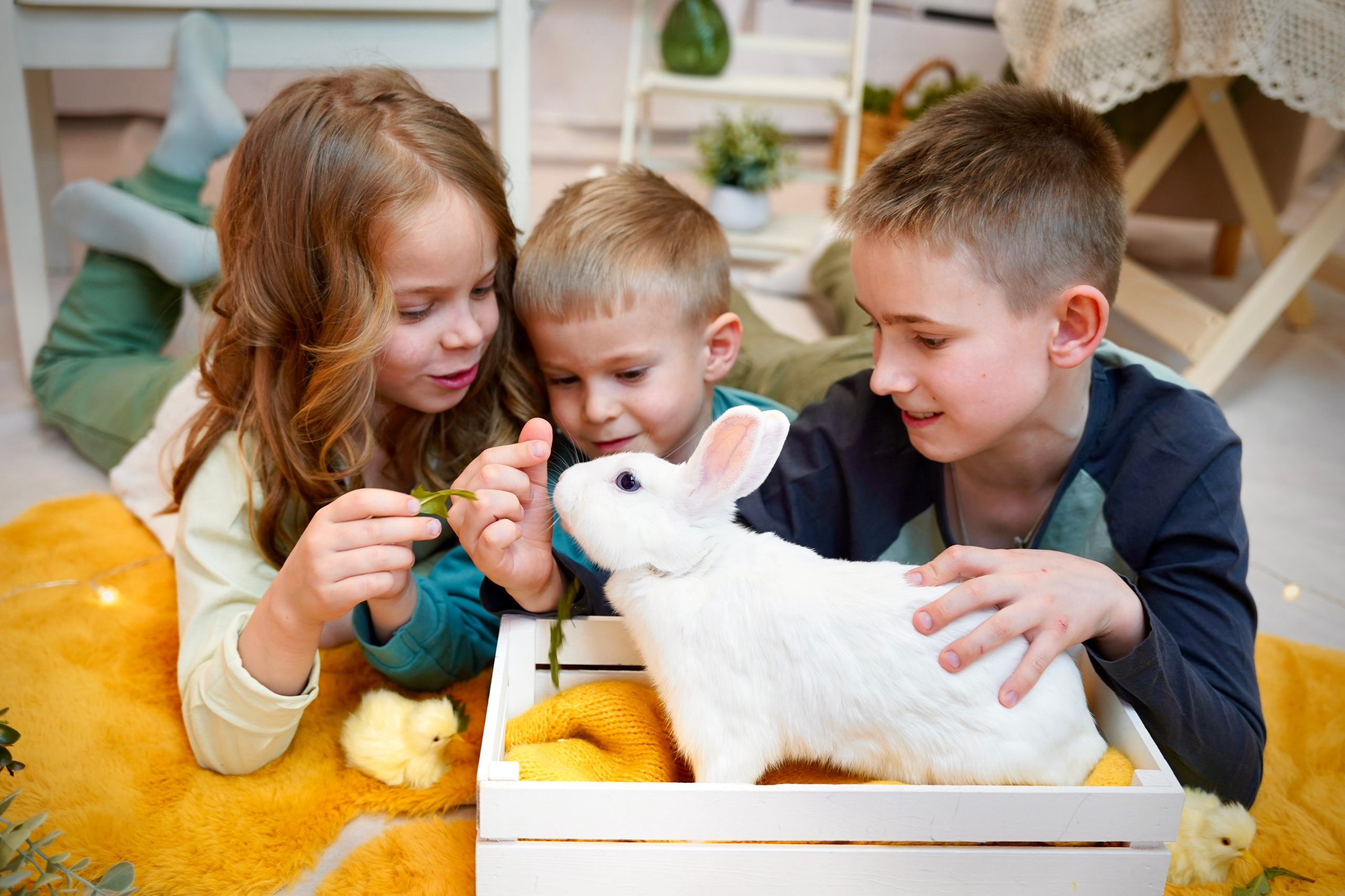 Весенний фотопроект № 3. Семейный и детский фотограф Александра Гвоздикова