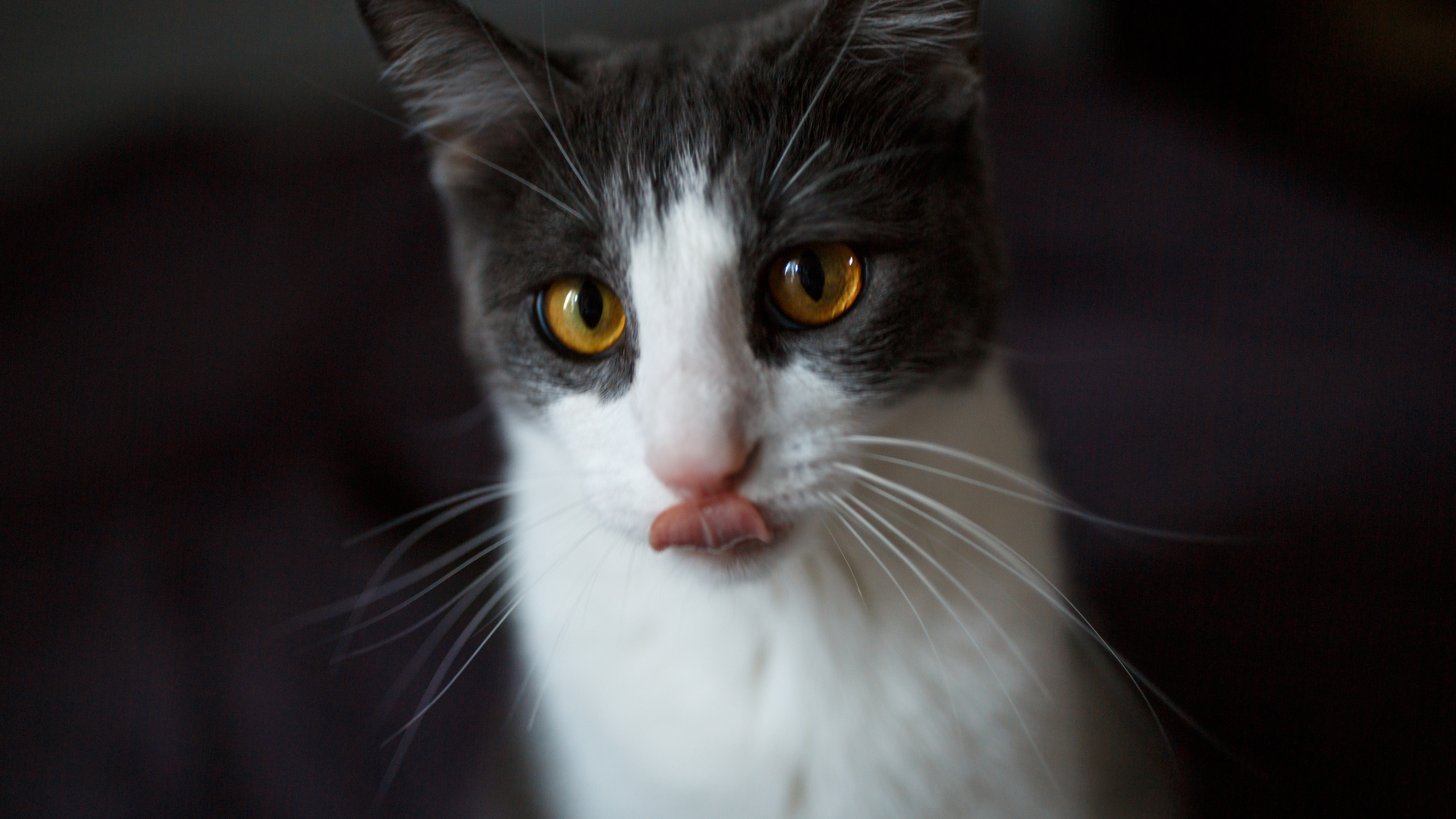 Оля и Тайфун. Сергей Ветер, фотограф в Краснодаре