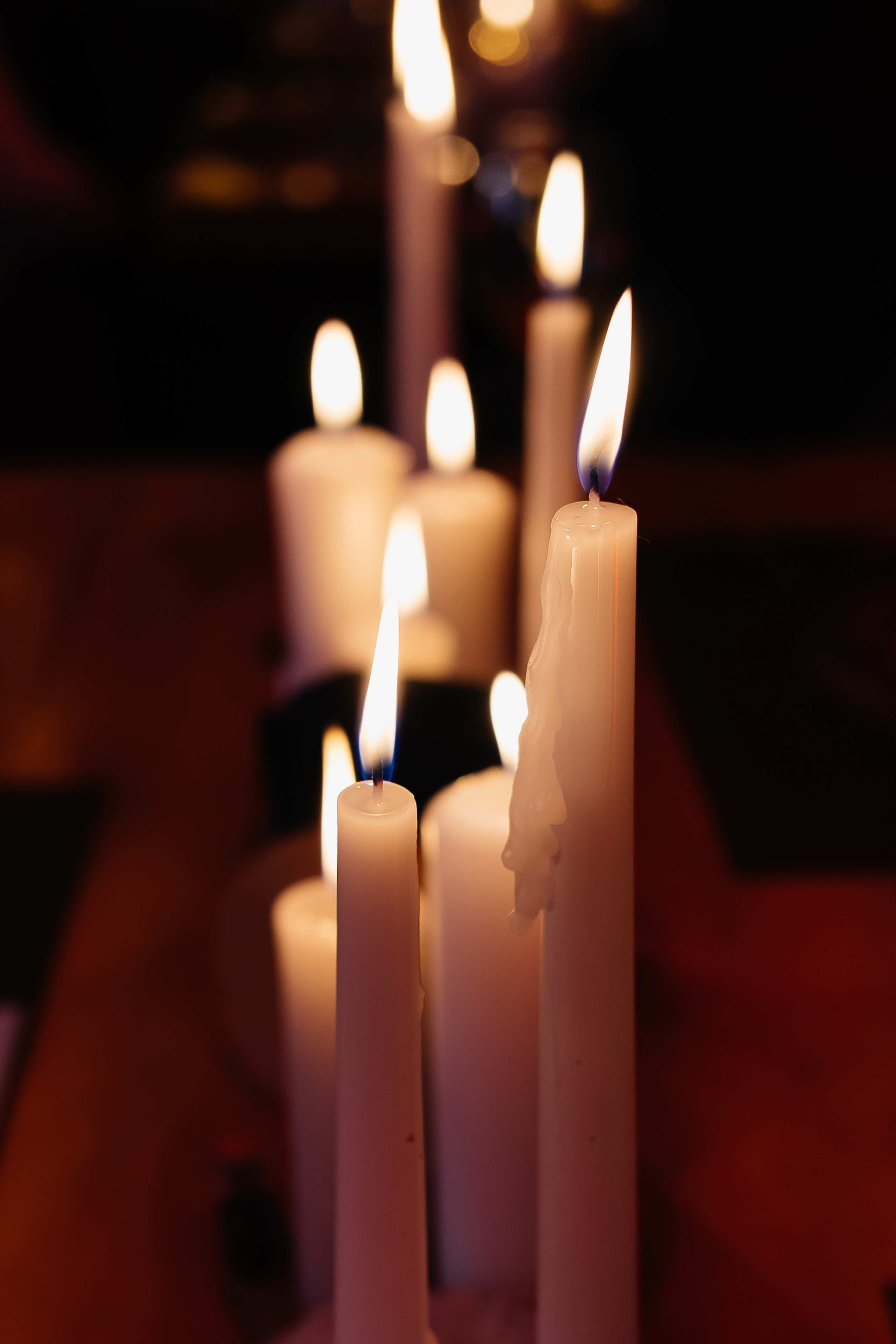 Гастрольный ужин «Солнце восходит на Камчатке» в ресторане «Забой». Фотограф Кемерово | Сергей