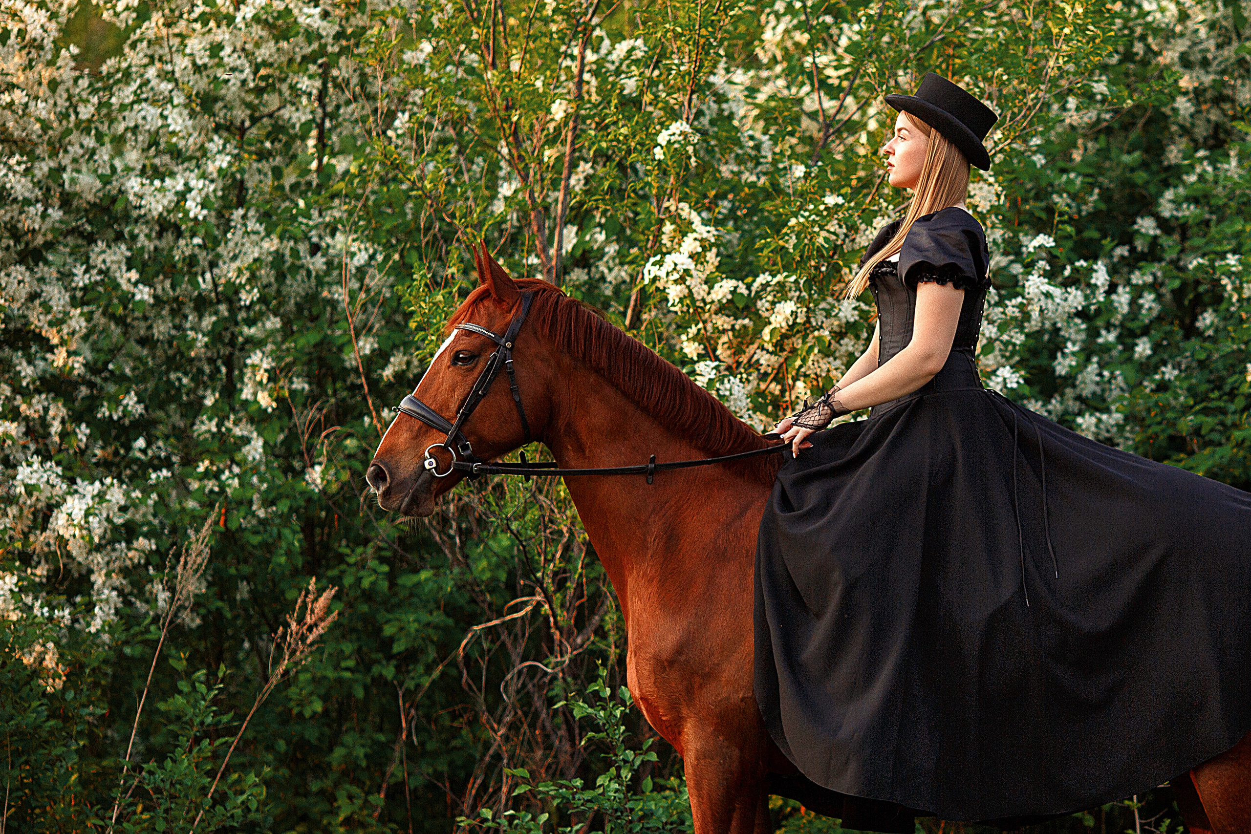 Сьемки с лошадьми. Конный фотограф в Благовещенске-Мария Балабанова