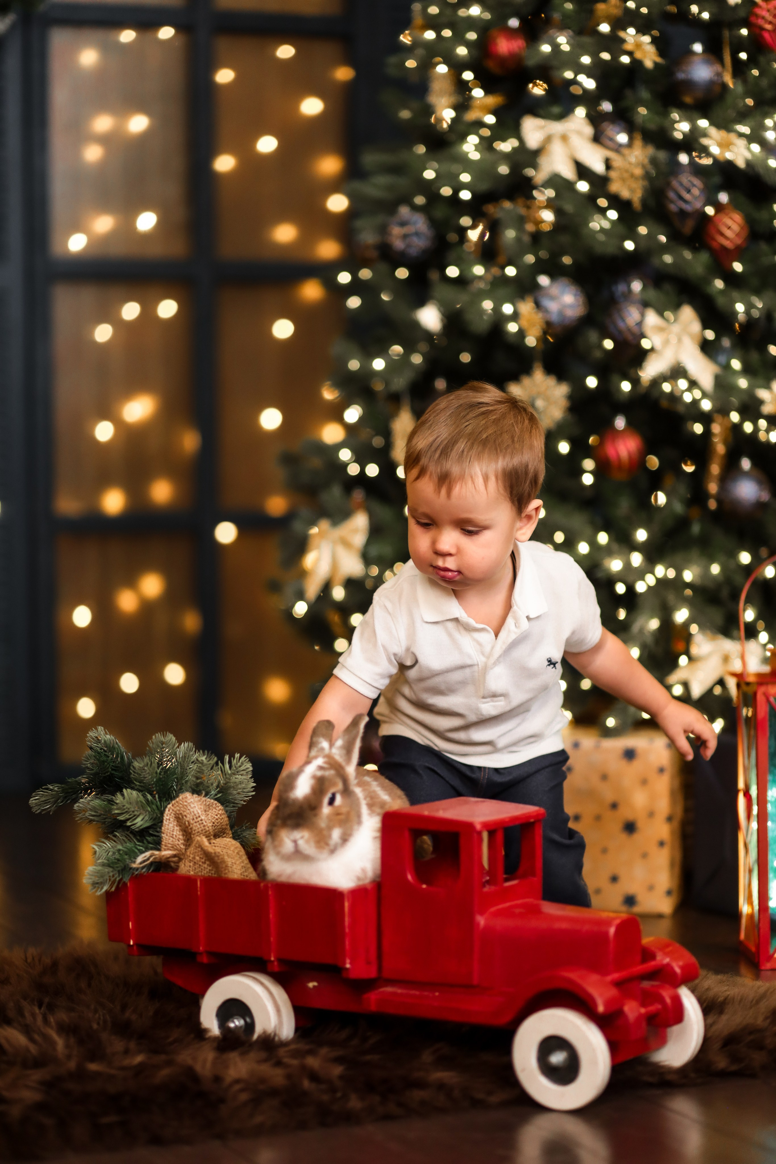 Марк и Валерия. Kharchenkotatianaweddingphoto