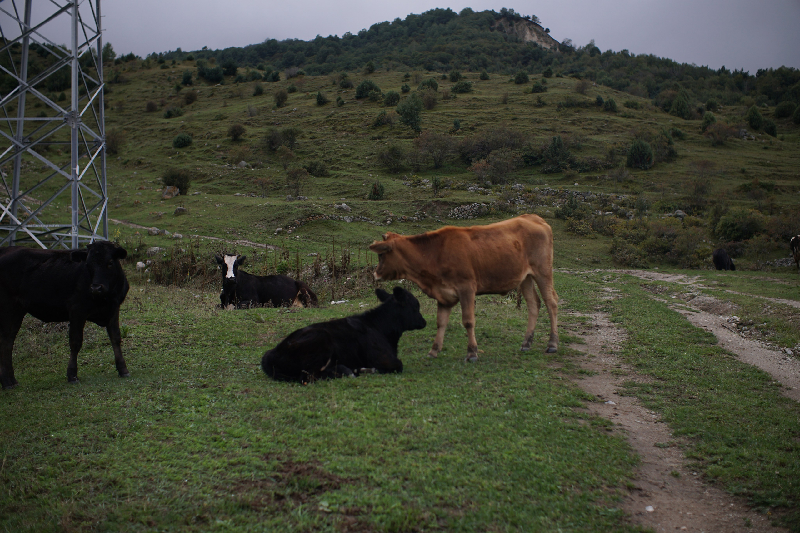 Блог про Верхнюю Балкарию. NECULTURED PHOTOGRAPHER