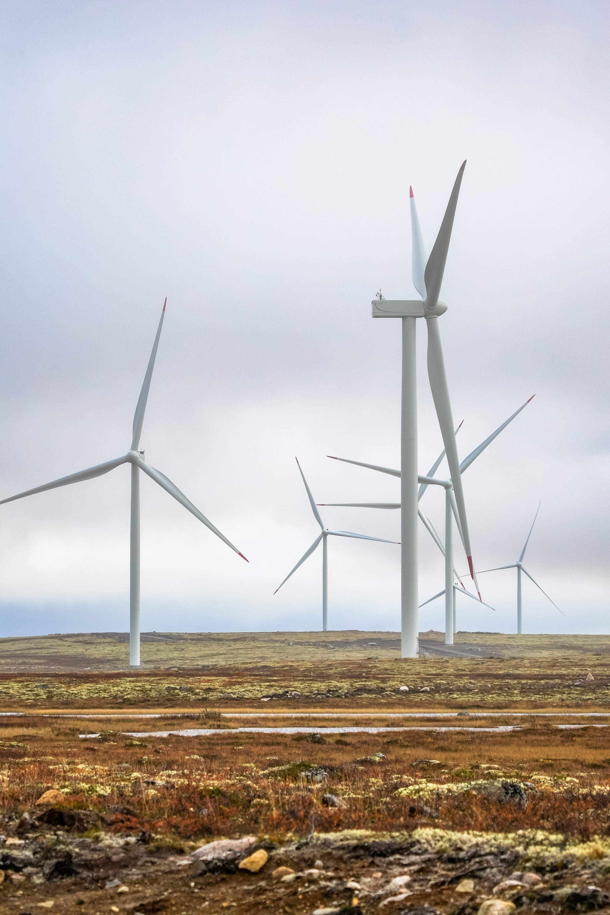 СЕВЕР. Event фотограф Степанова Александра