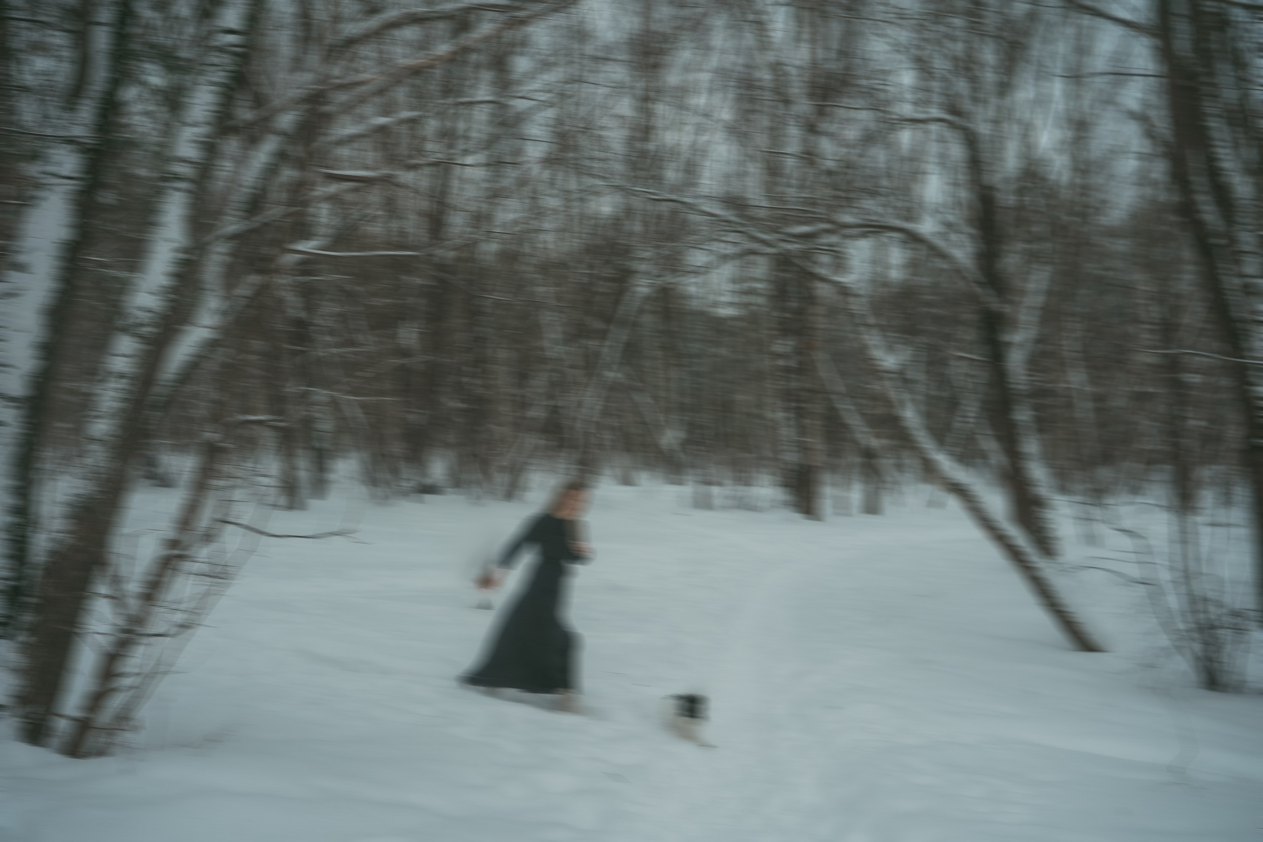 Альбина и Амелия. Фотограф анималист в Москве и Санкт-Петербурге Свиридова Анна