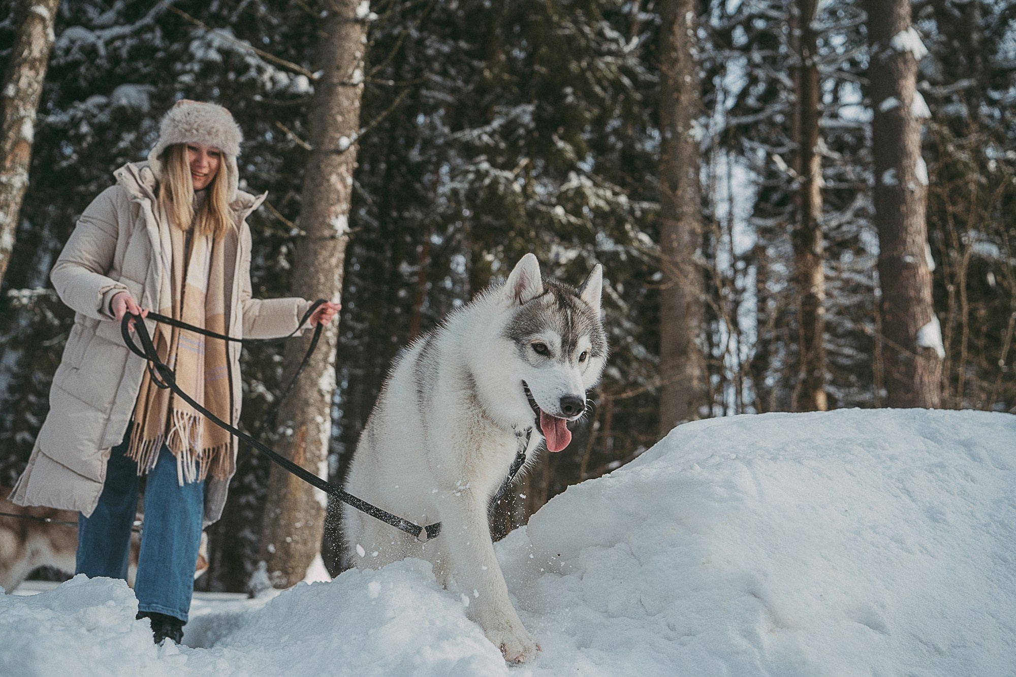 Полина, Уго и Пышка. Фотограф анималист в Москве и Санкт-Петербурге Свиридова Анна