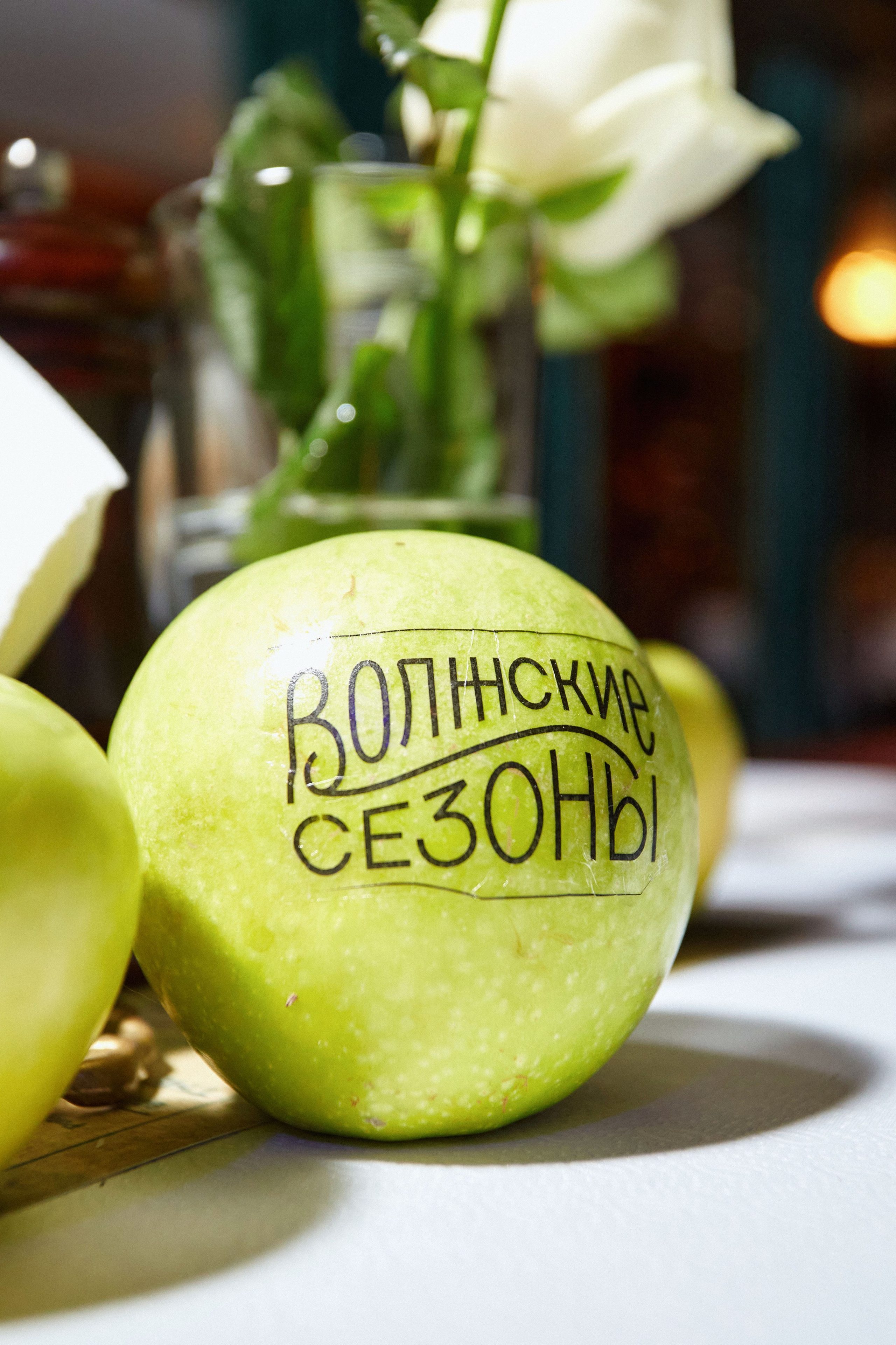 Фестиваль «Волжские сезоны». DENISOV ART (фото, видео, дизайн) САМАРА