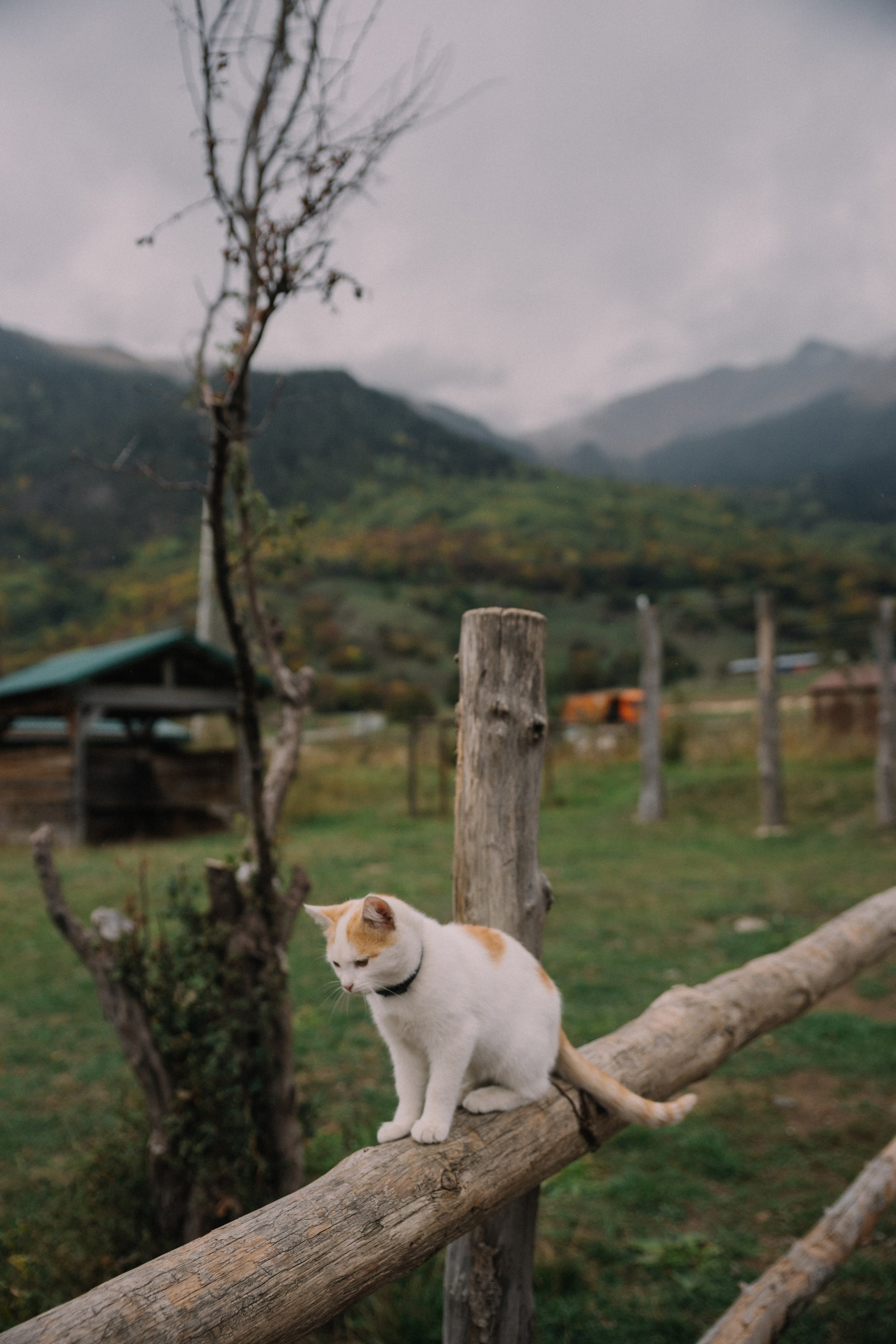 Пейзажи. Меня зовут Стас Барыкин, я фотограф. Живу и работаю в Ростове-на-Дону