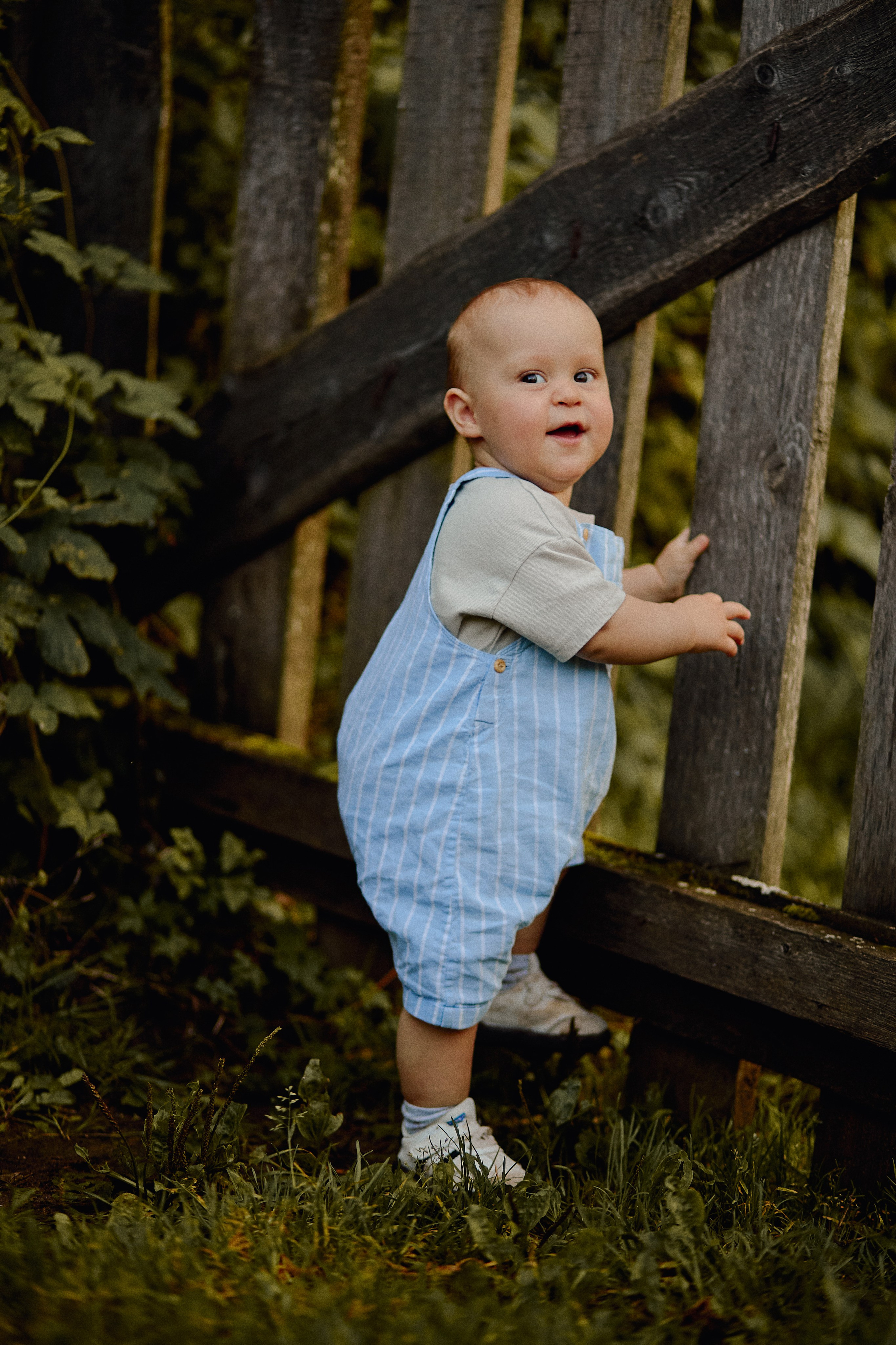Дима, Маша и Лео. Свадебный фотограф Чайковский