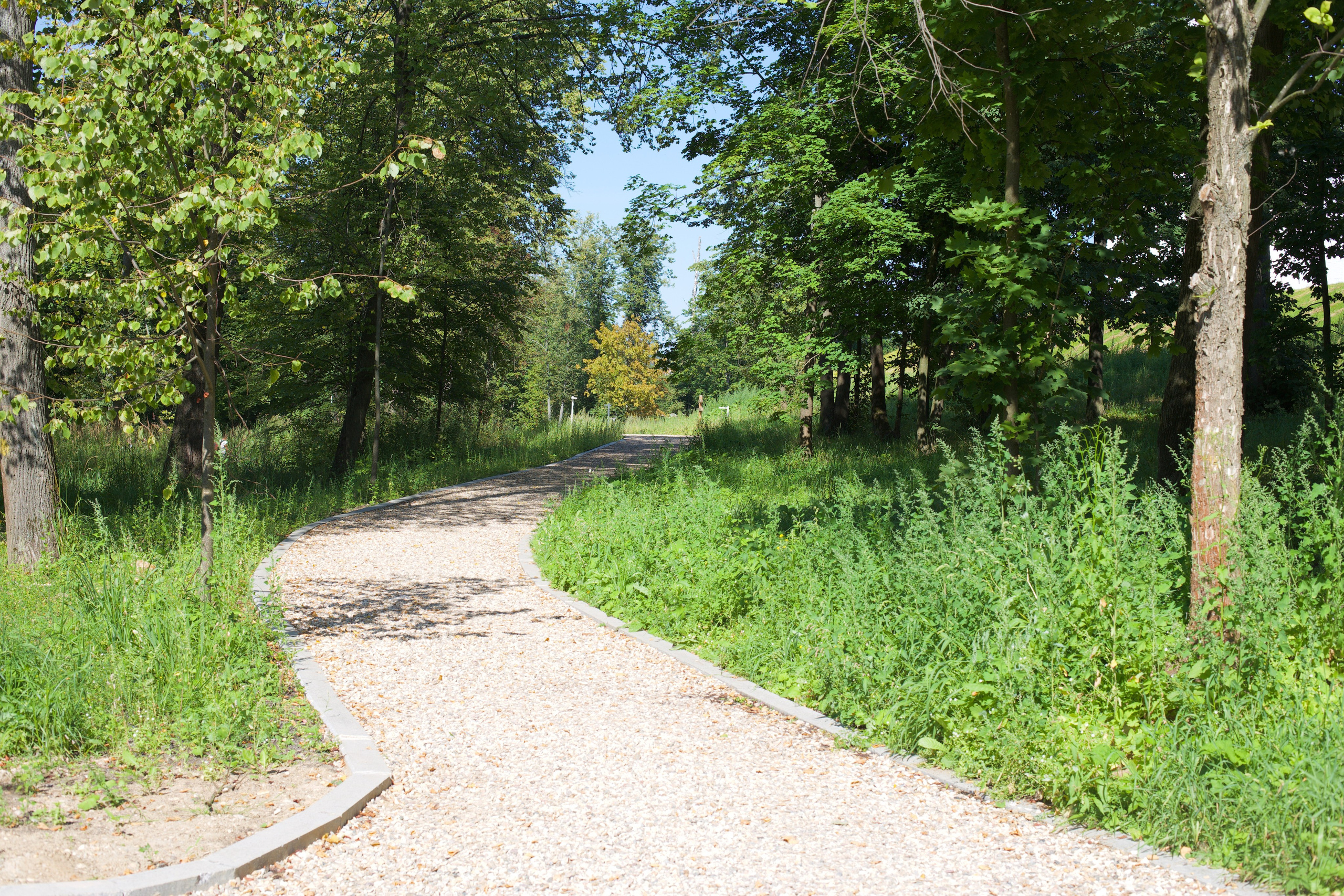 Ново-Иерусалимкий монастырь. Школьные выпускные альбомы в Москве Марина Николаева