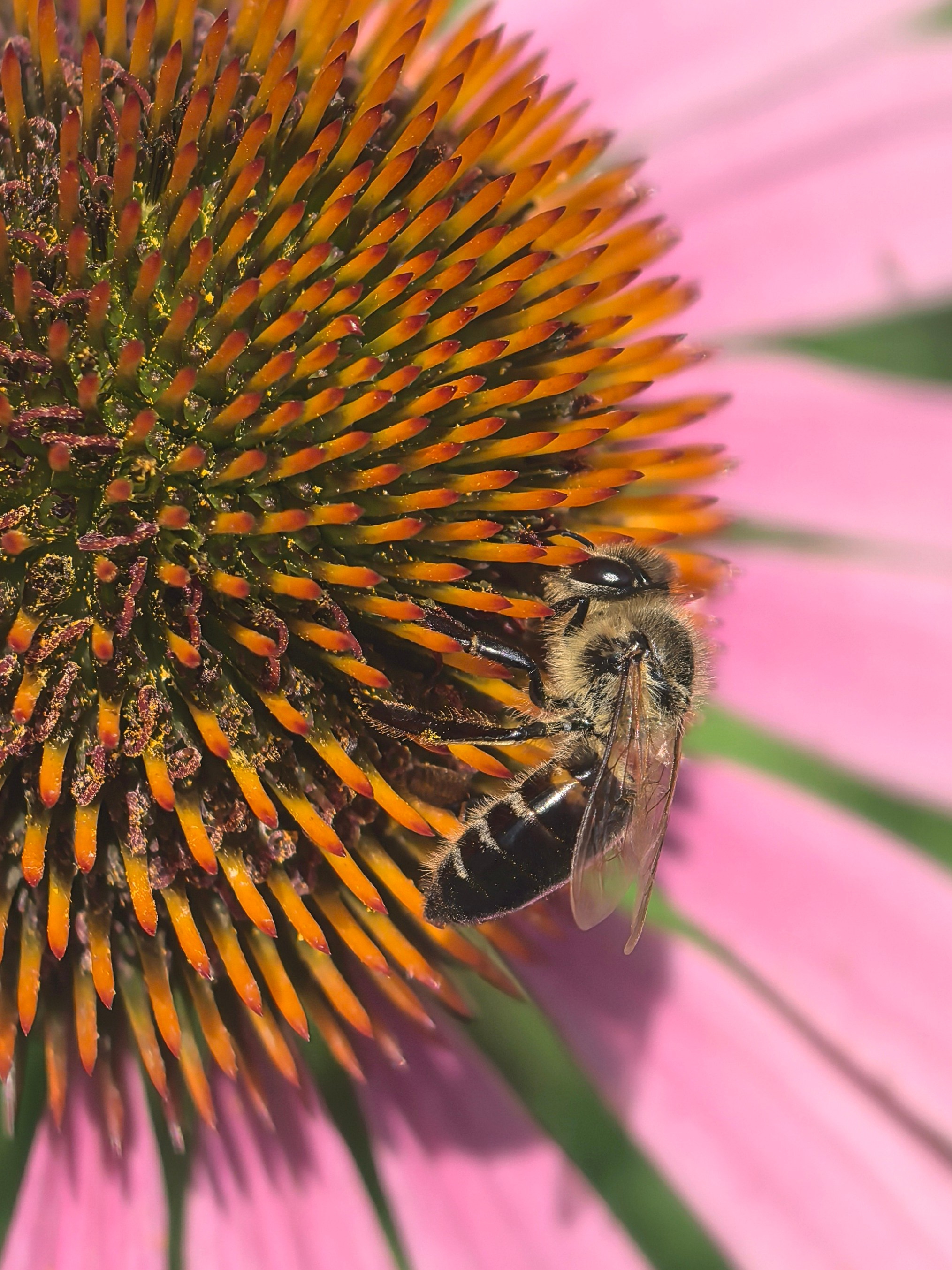 ПочтиМАКРО. Школьные выпускные альбомы в Москве Марина Николаева