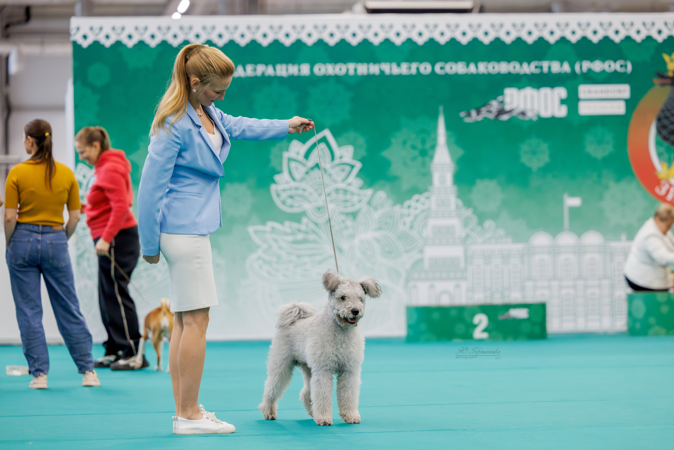 Зилант Казань 29-30.11.2025. Фотограф-анималист Юлия Германика