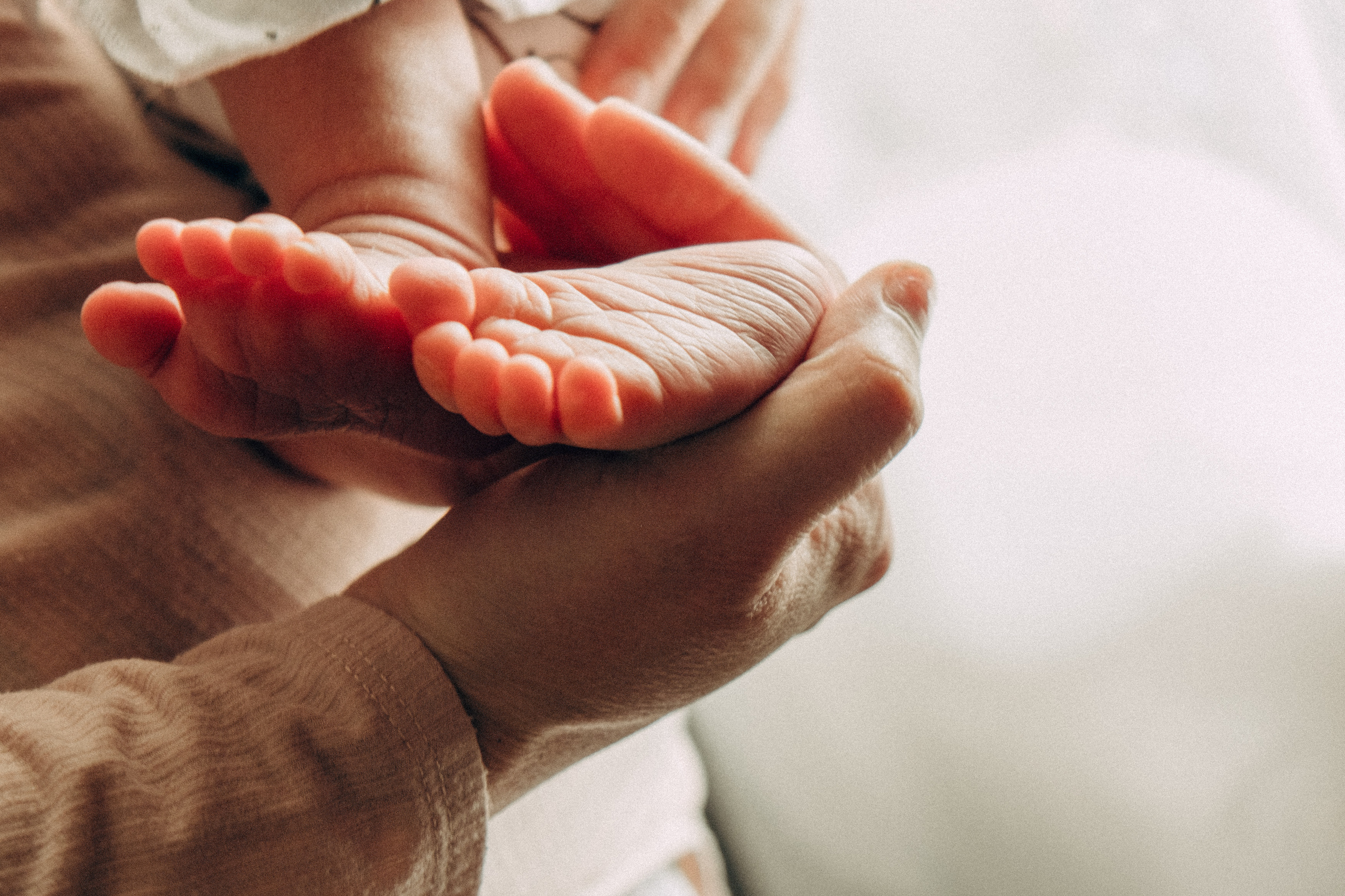 Привет Малыш. Самойленко Надежда фотограф