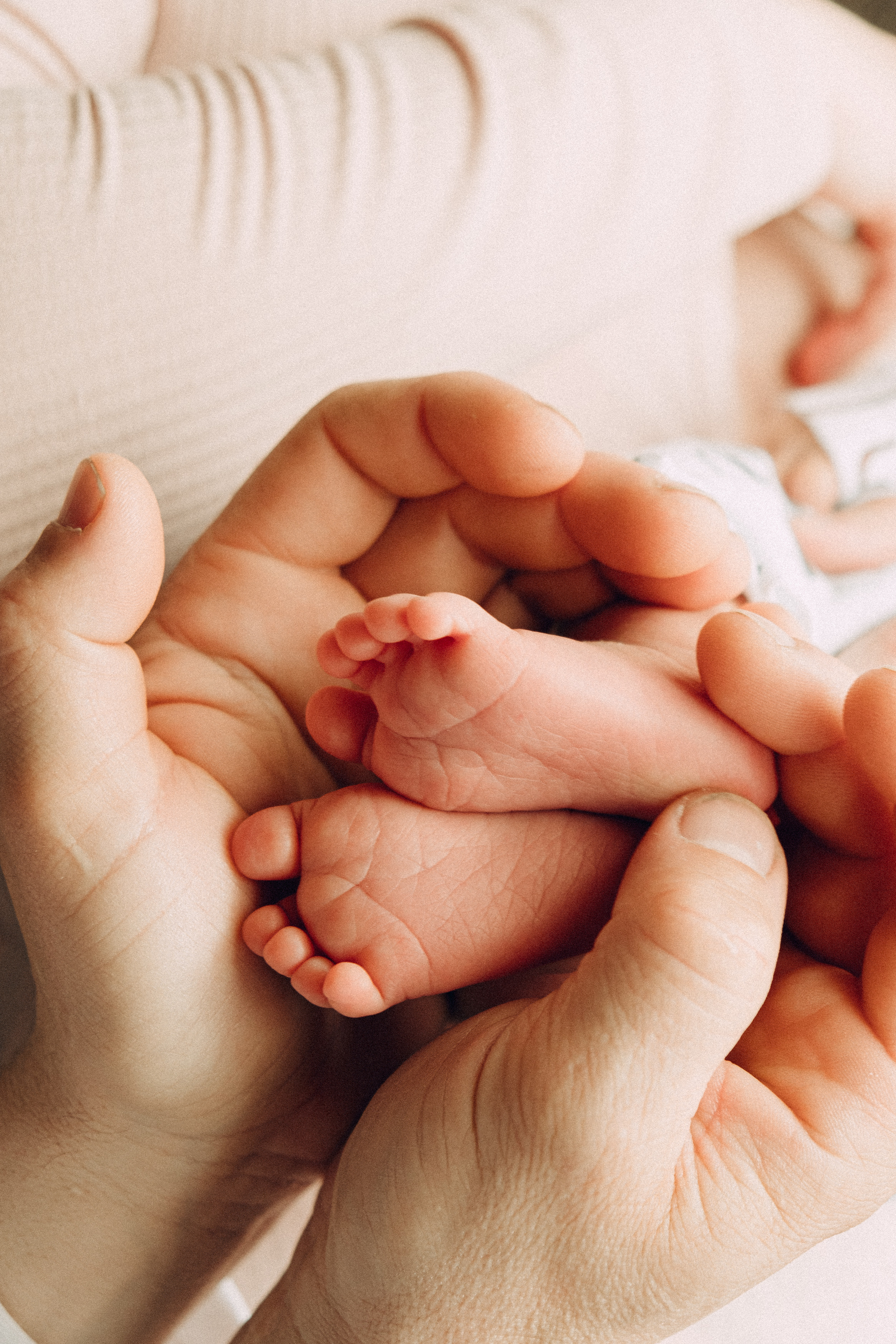 Привет Малыш. Самойленко Надежда фотограф
