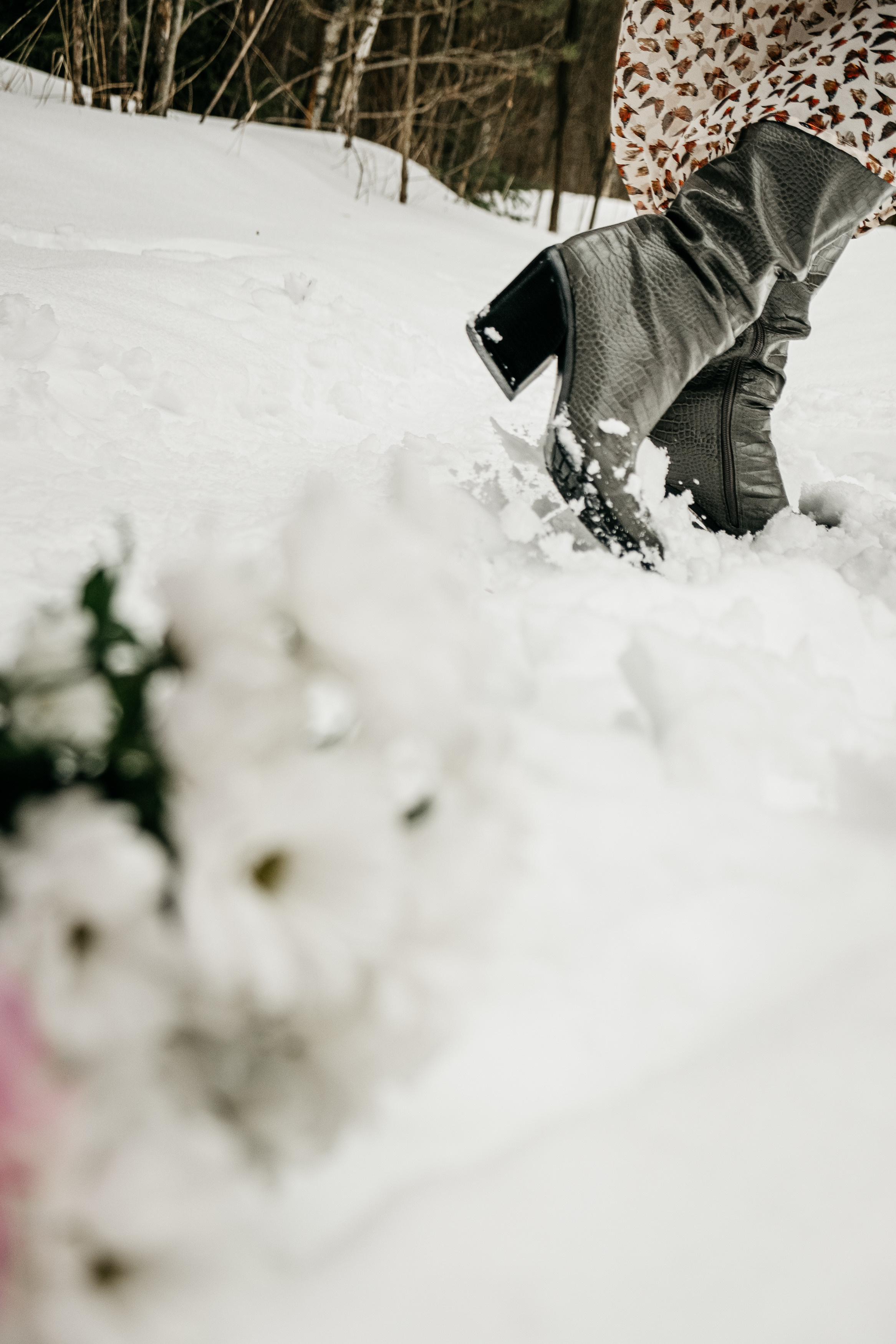 Весна. Самойленко Надежда фотограф