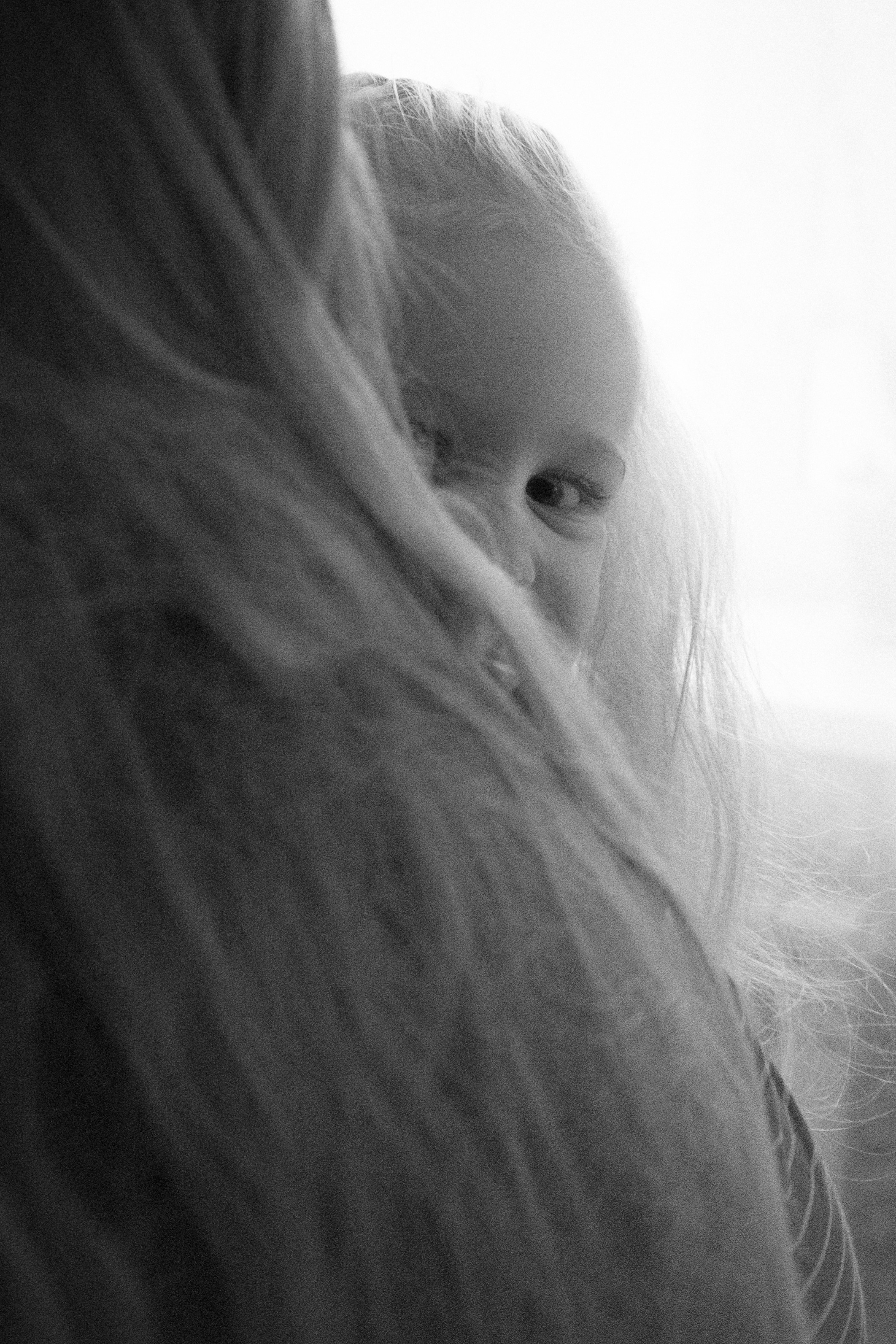 Вместе. Самойленко Надежда фотограф