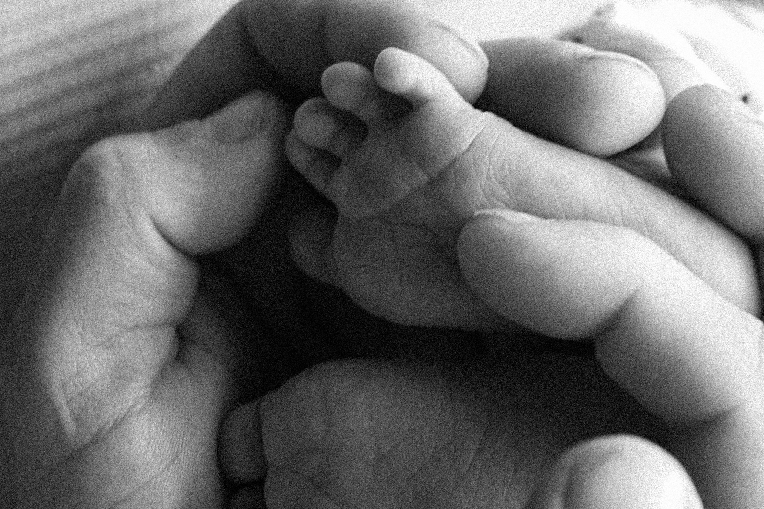 Привет Малыш. Самойленко Надежда фотограф