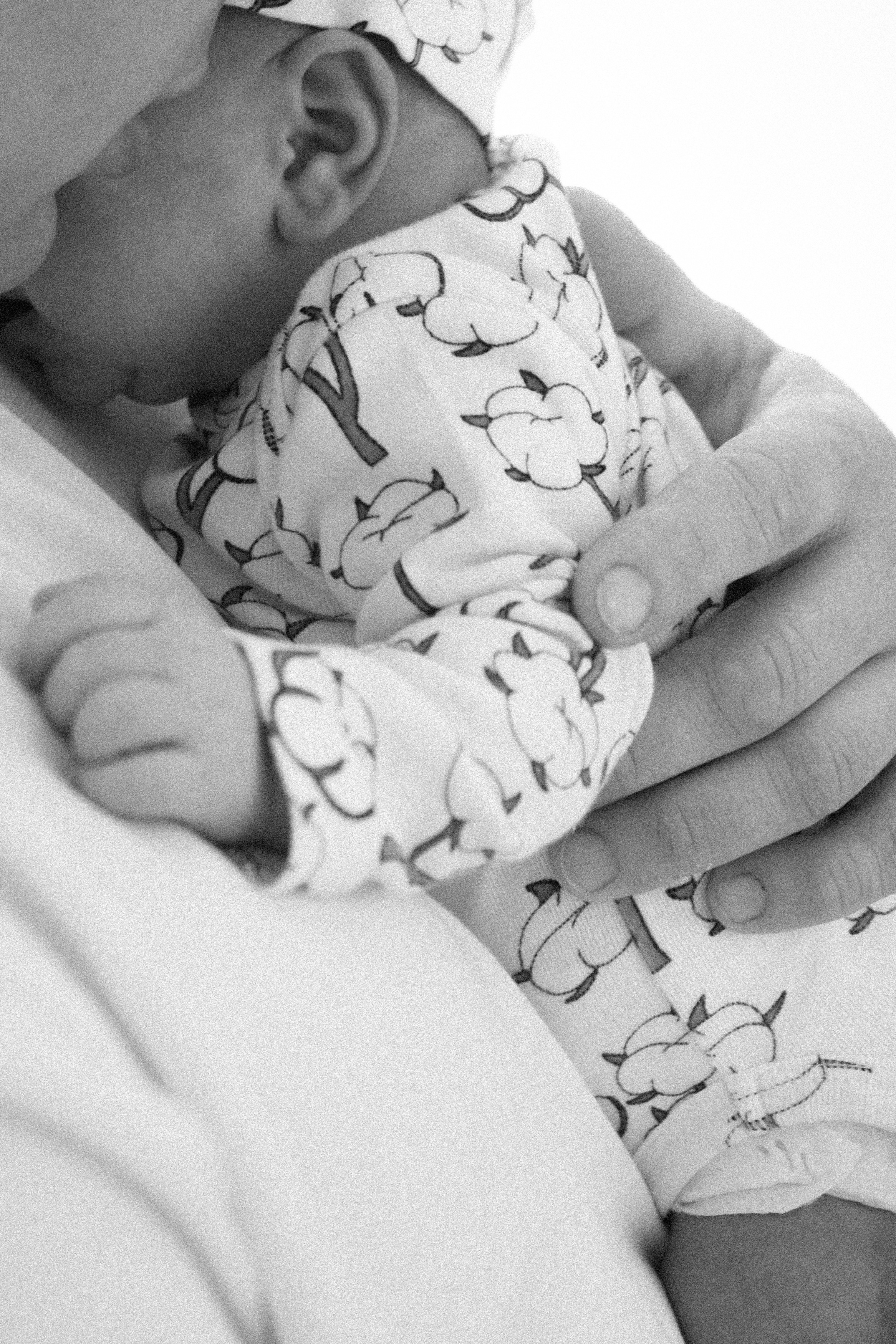 Привет Малыш. Самойленко Надежда фотограф