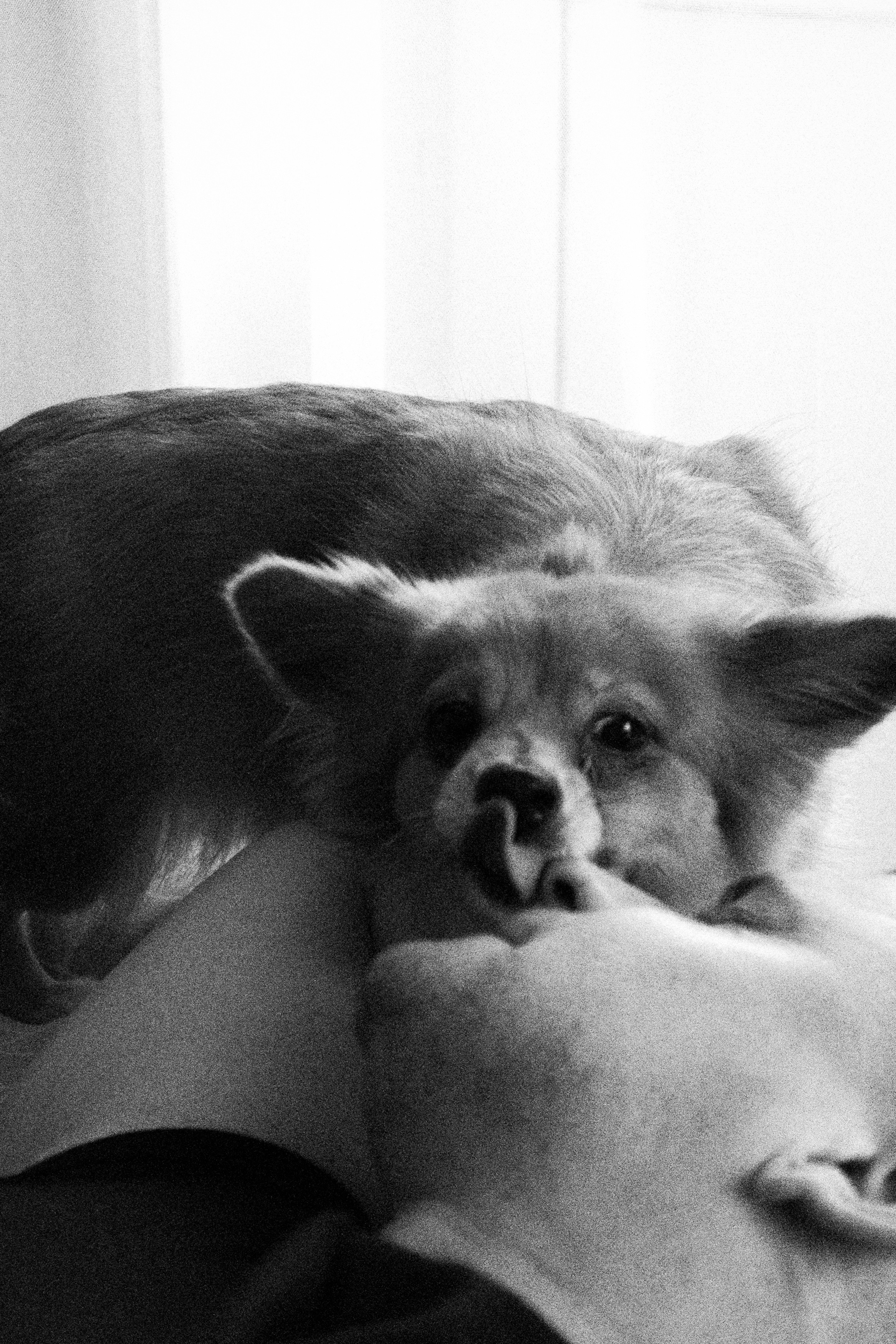 Вместе. Самойленко Надежда фотограф