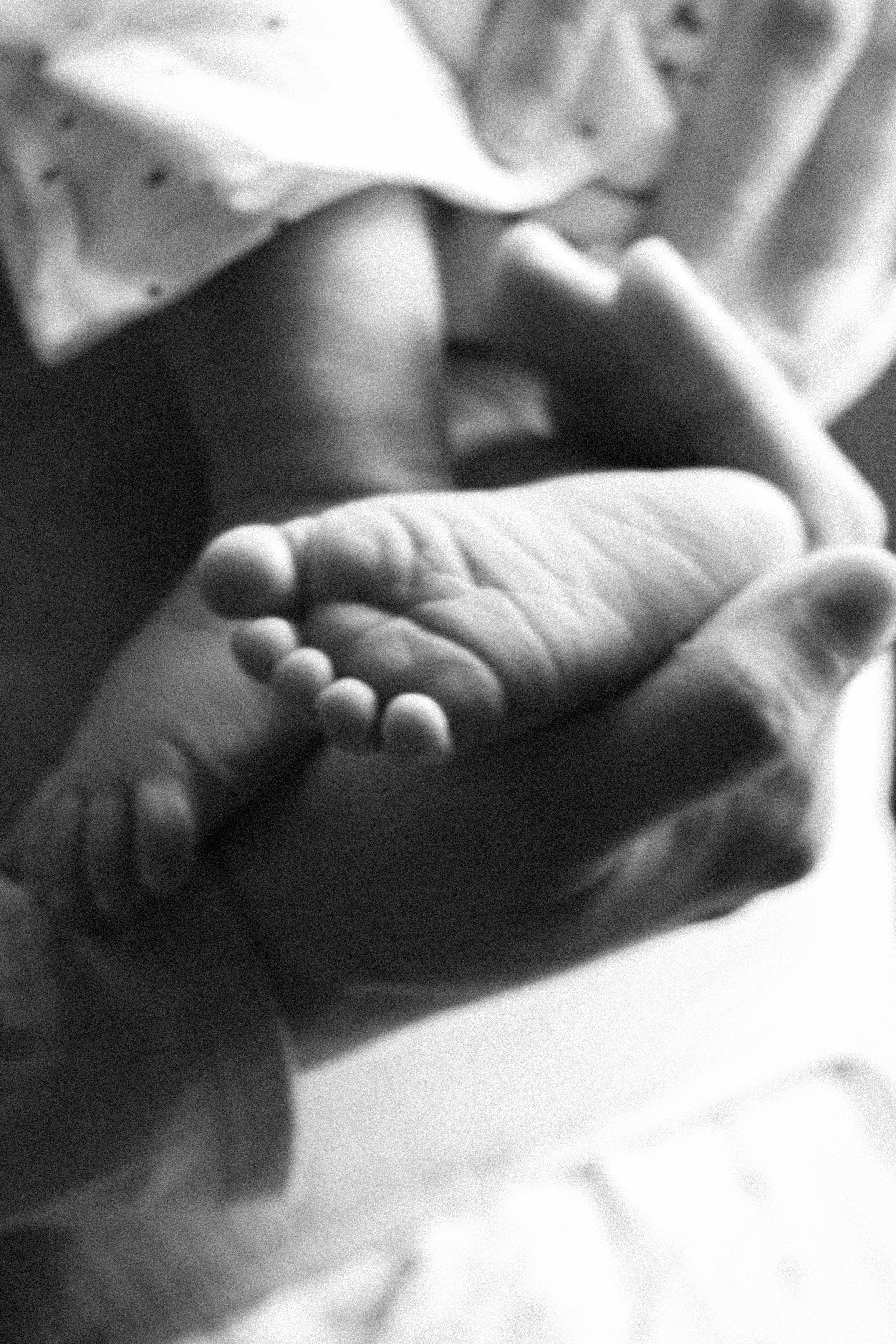 Привет Малыш. Самойленко Надежда фотограф