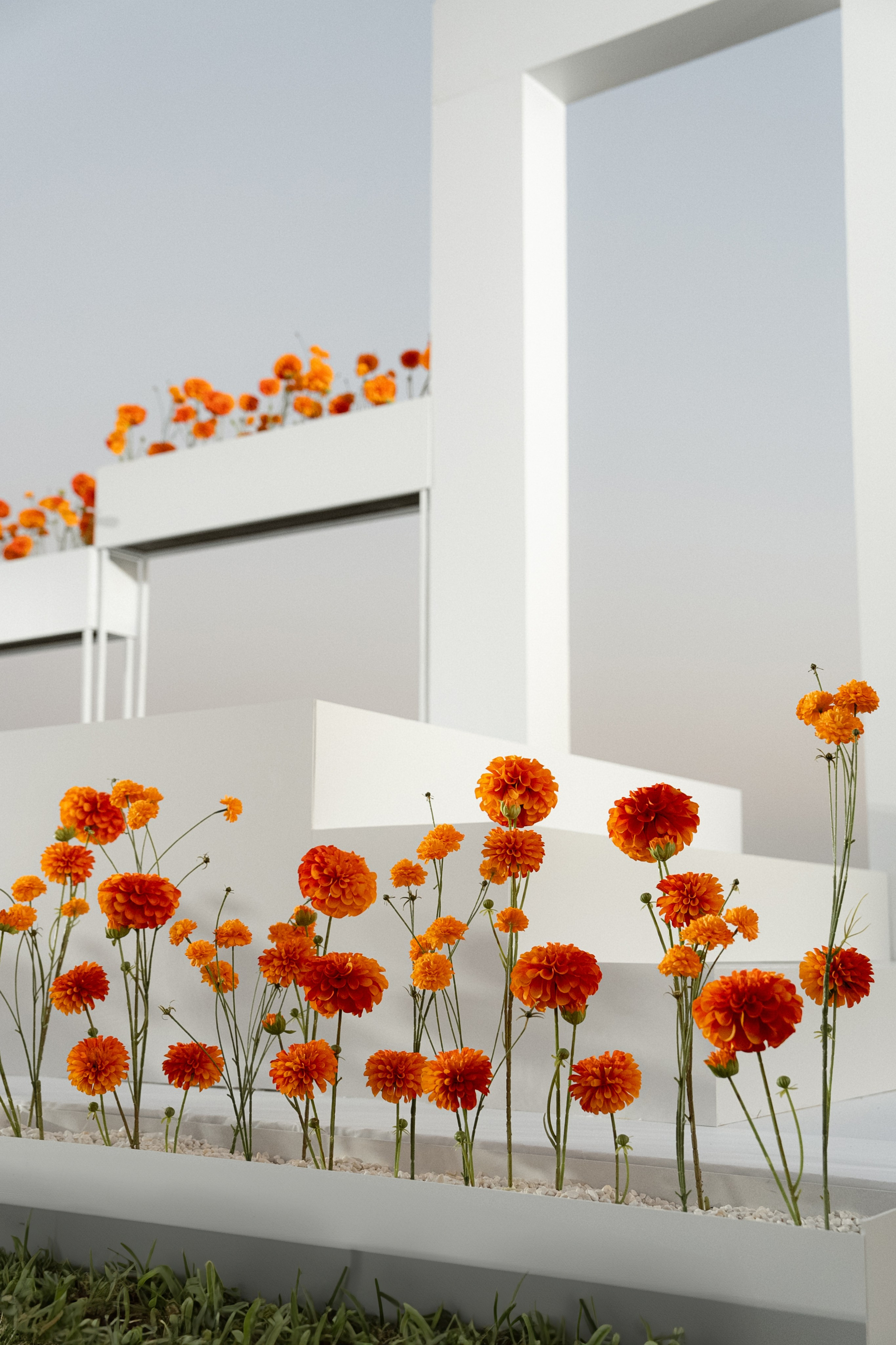 Karina+Danya. Семейный и портретный фотограф в Саратове Сахарова Маша