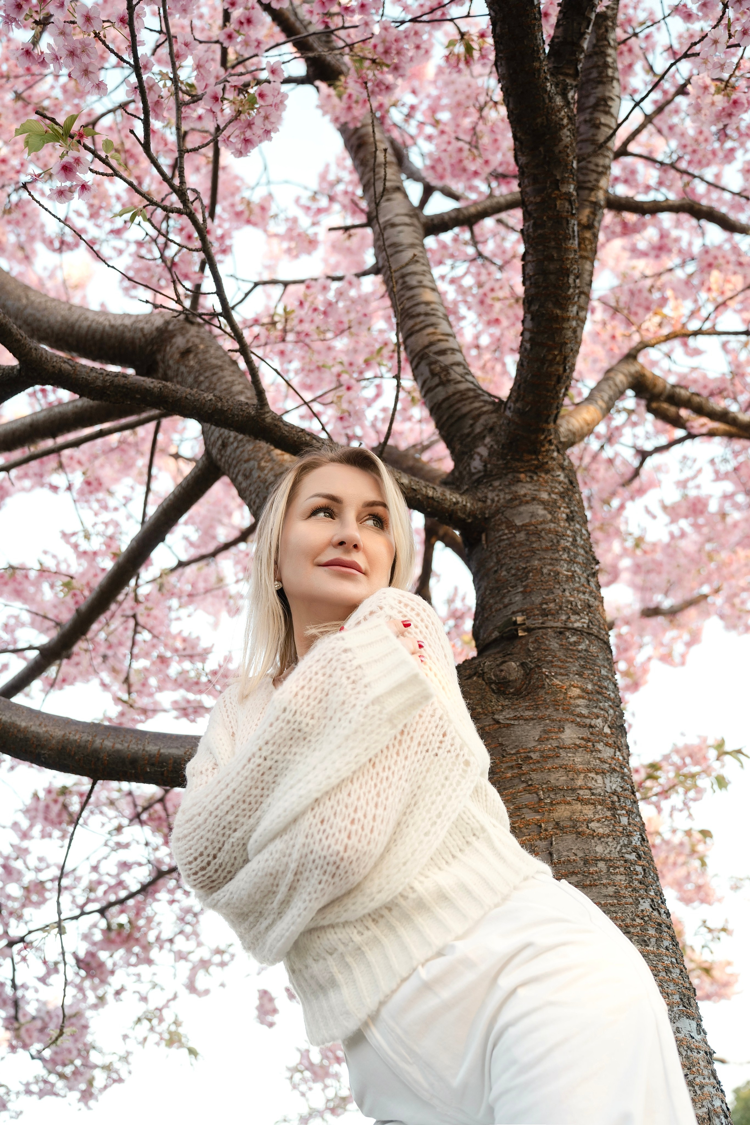 Sakura. Фотограф Алина Диева Москва | Токио