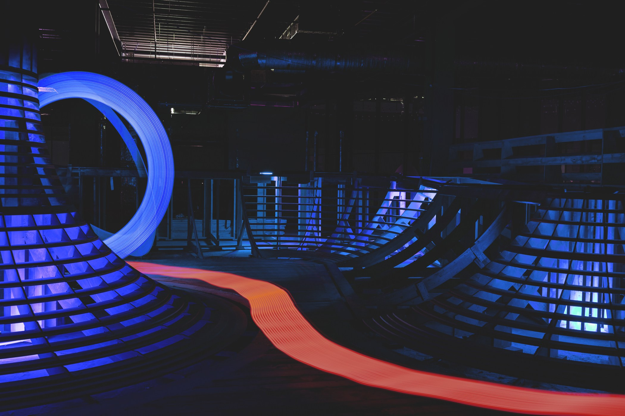 Random photo roulette. Bivol images