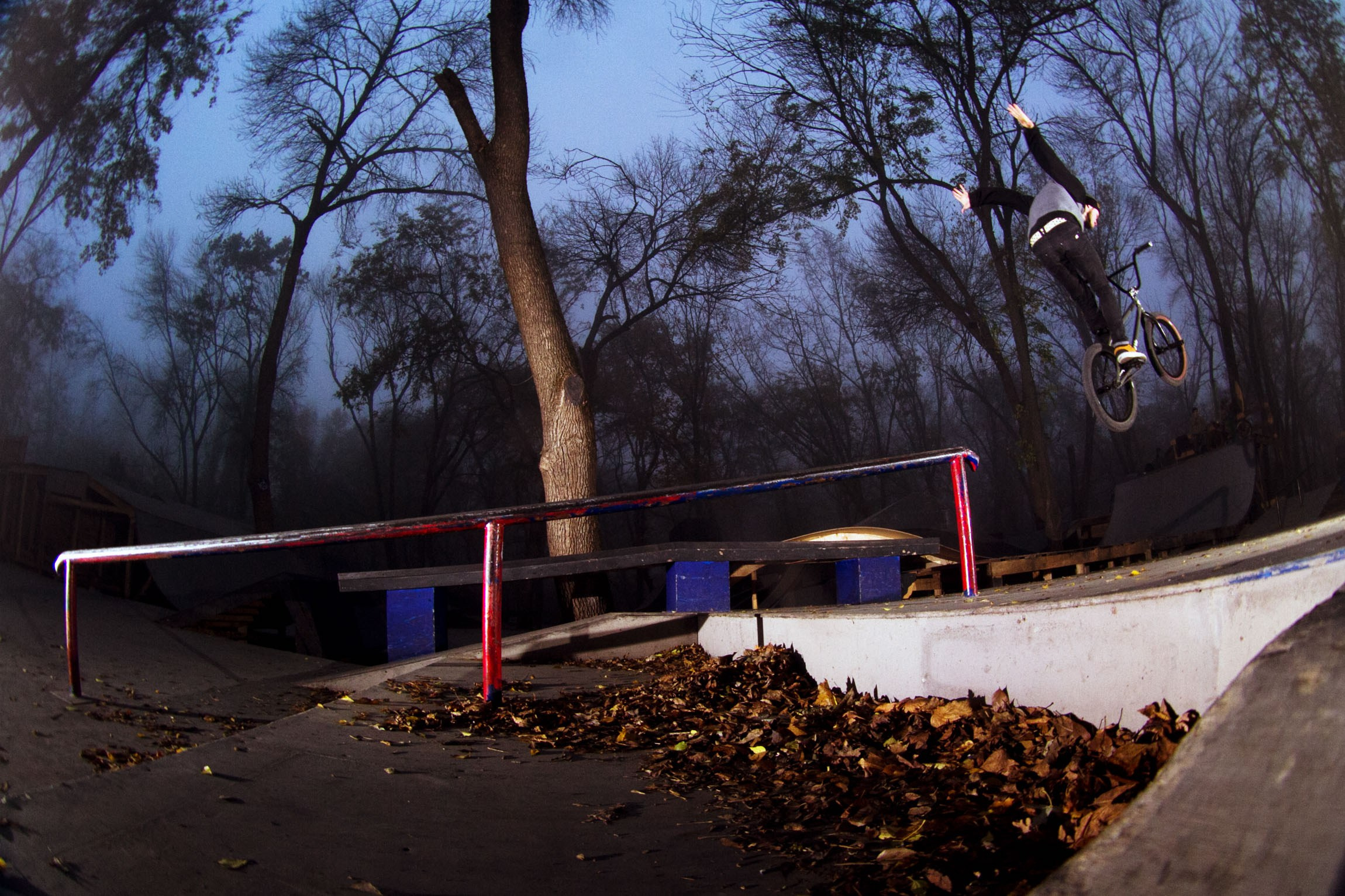 Action / Highlights. Bivol images