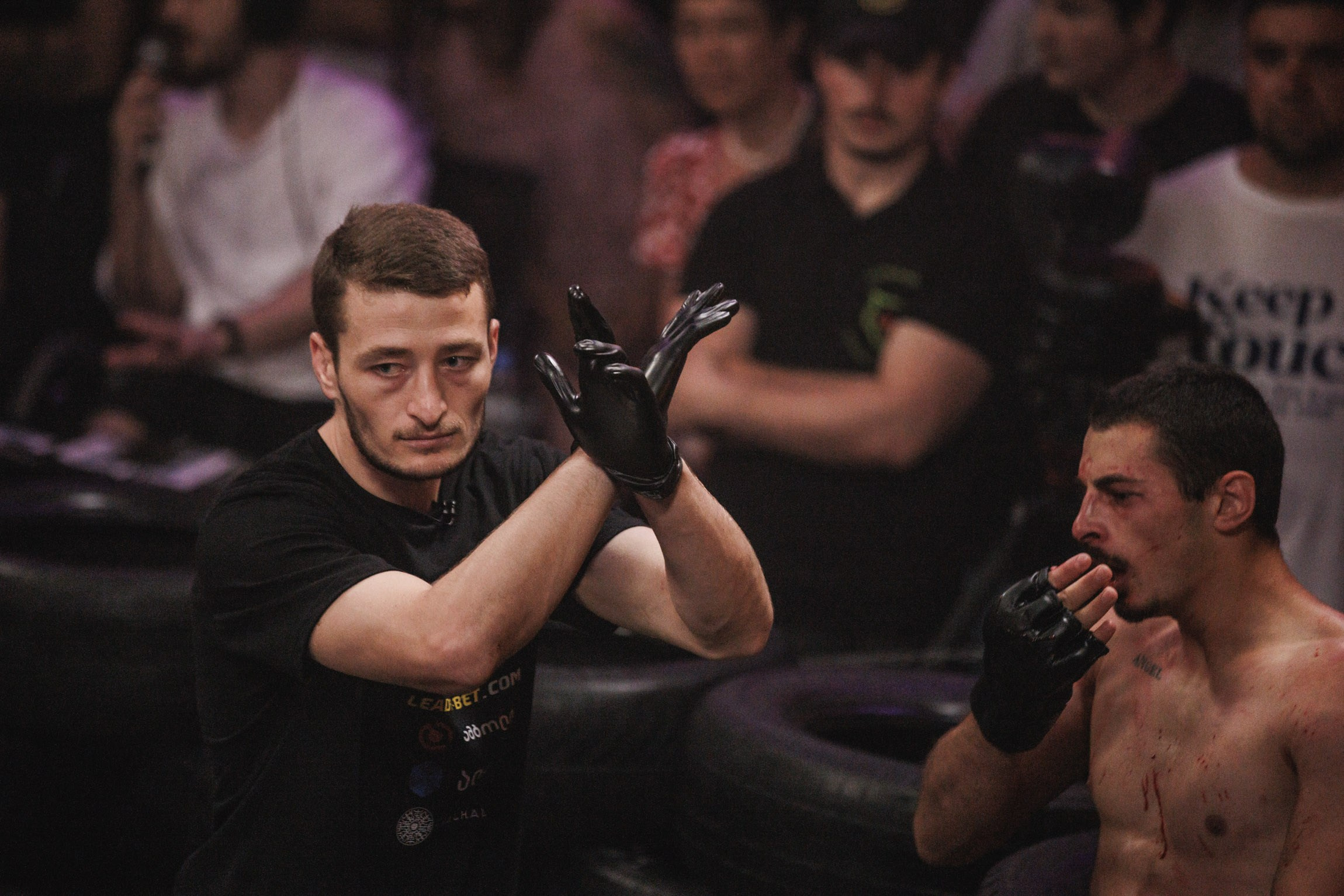 Sport / Events. Bivol images