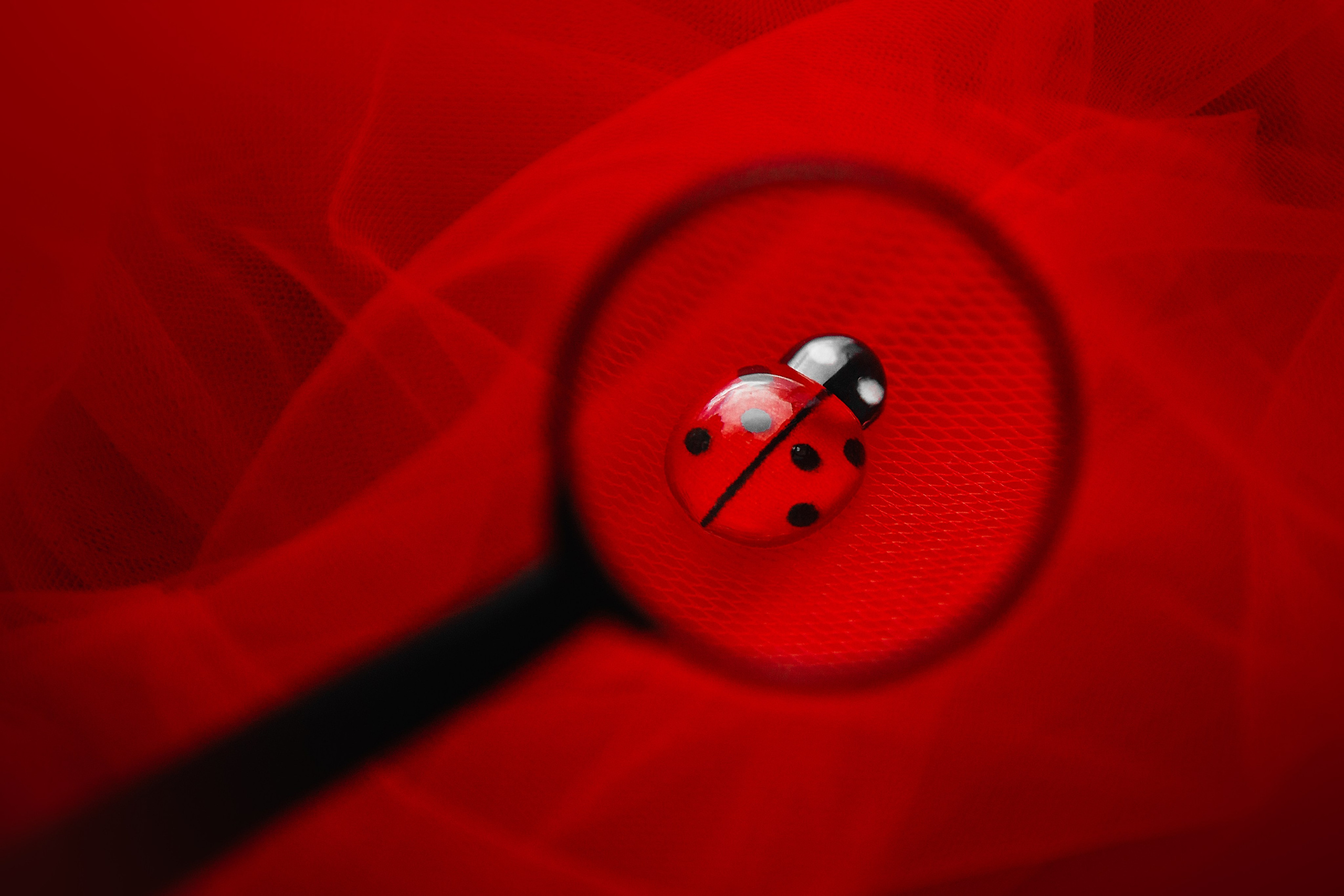 Проект «366»|2024|Фото каждый день. LENA GRACE photographer ||ЛЕНА ГРЭЙС фотограф