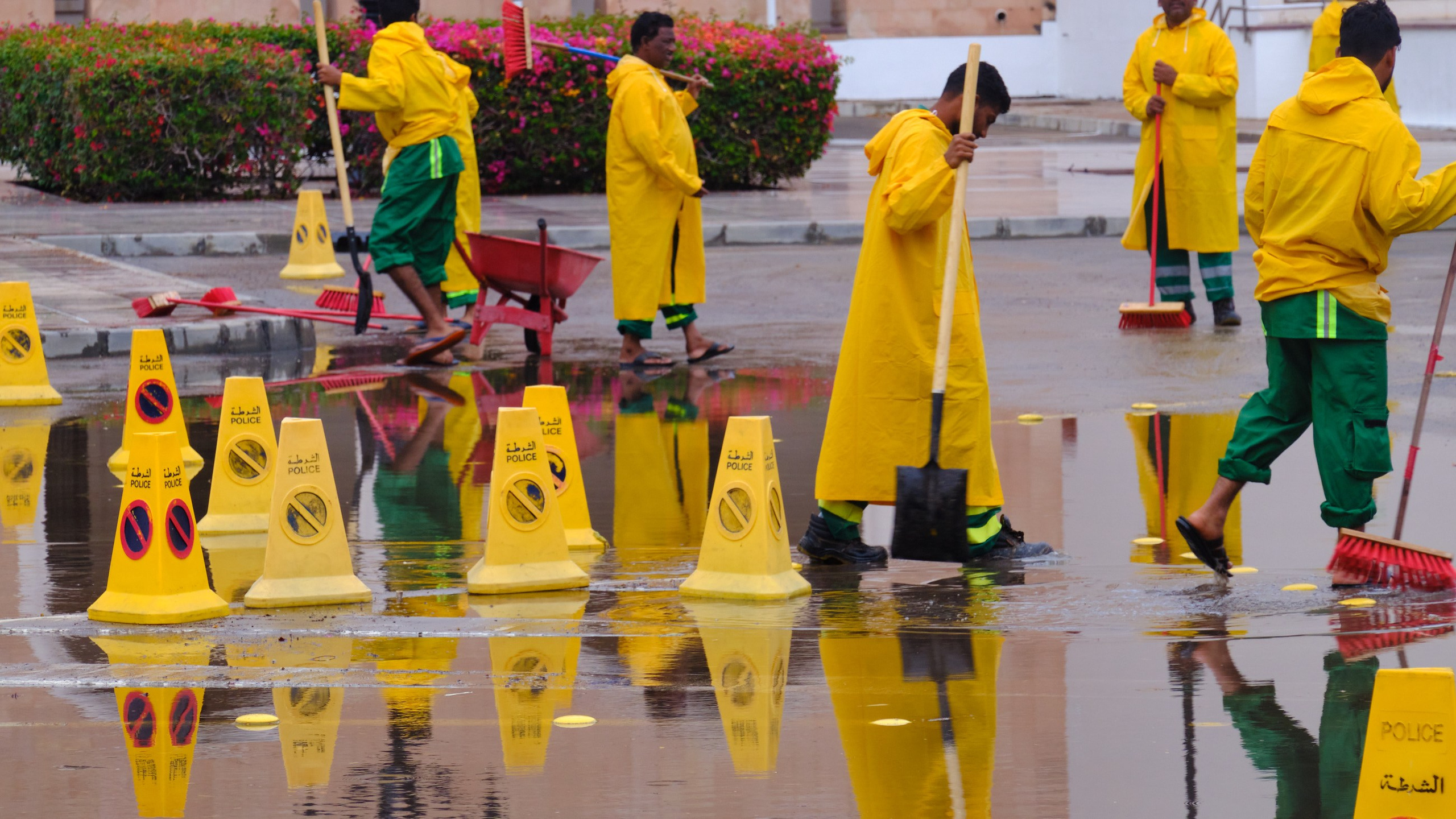 Оман. ОАЭ. Катар. Бахрейн. Юрий Березнюк. Фотожурналистика