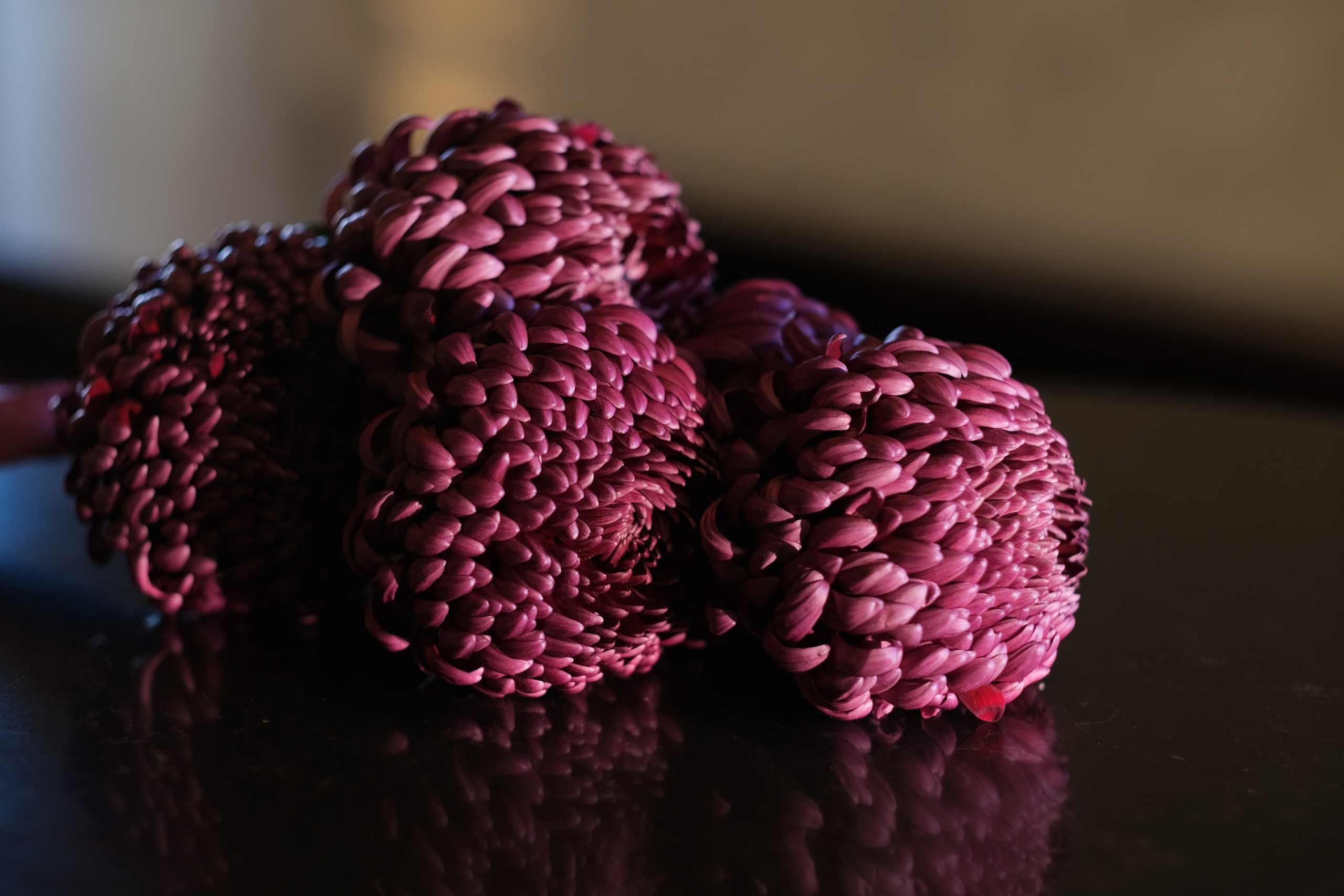 Свадебная фотосессия в театре драмы имени Наума Орлова. Свадебный фотограф в Челябинске Сырчикова Наталья