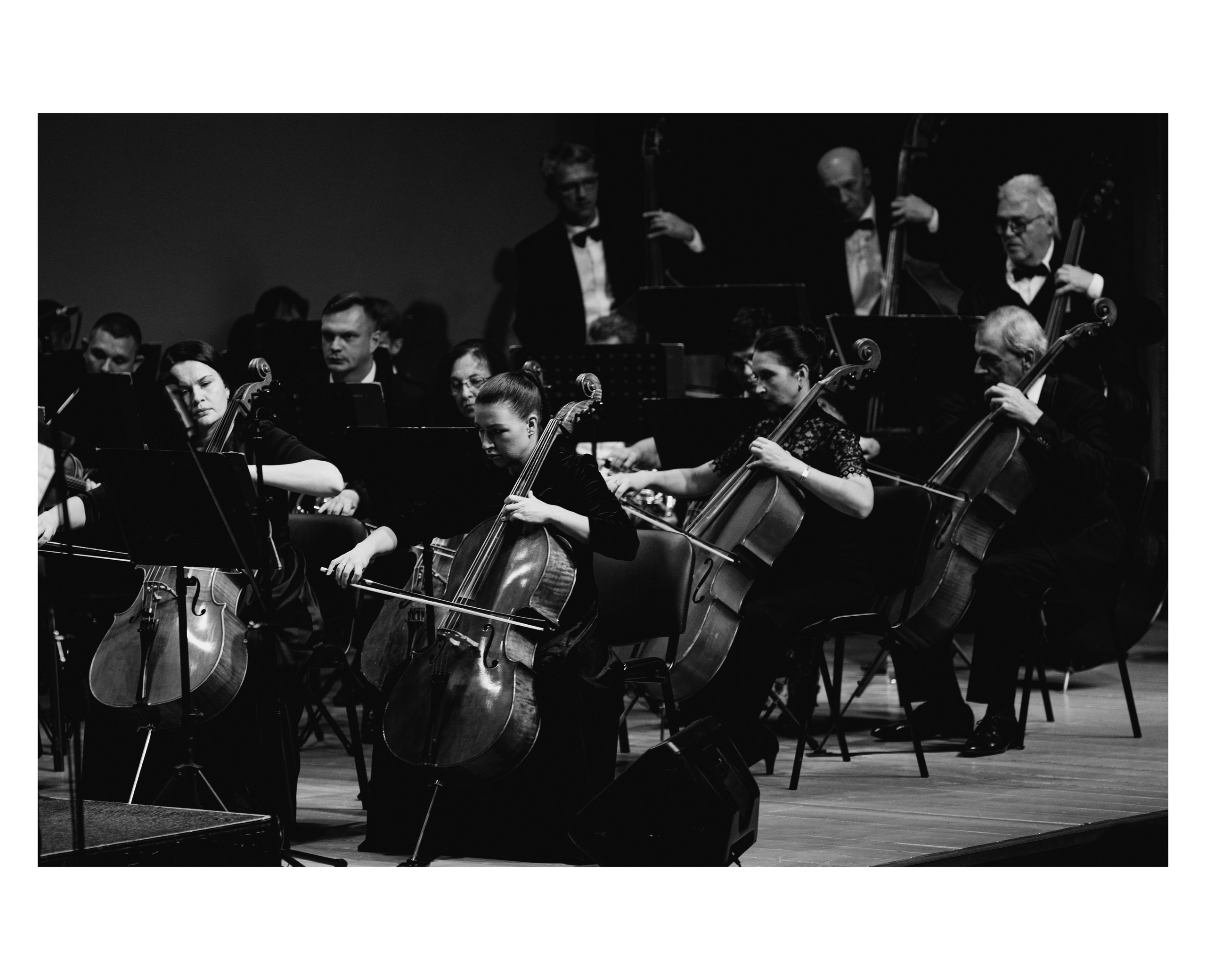 Симфонический оркестр. Творческий и репортажный фотограф в Москве Клим Долгов