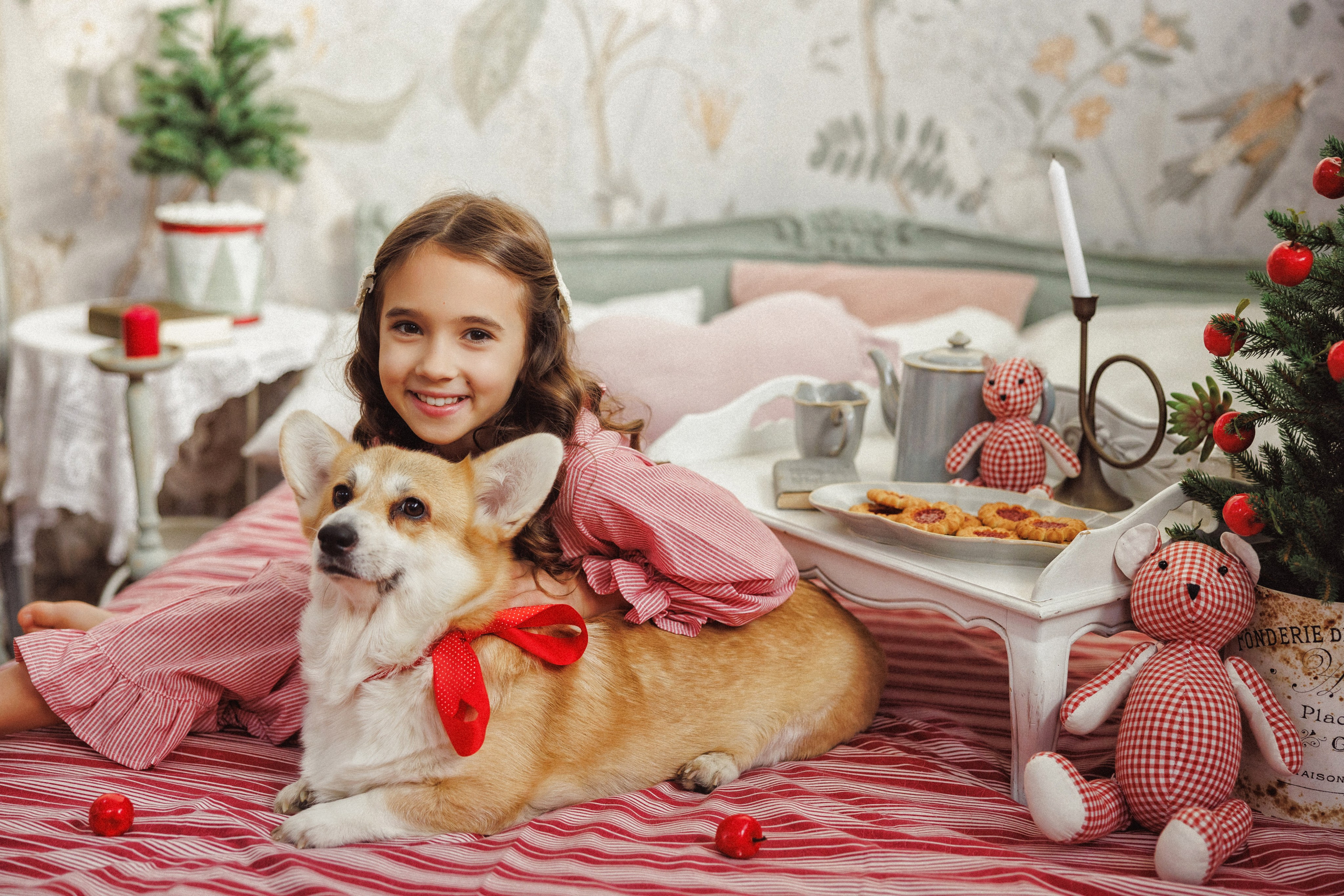 Новогодняя фотосессия с собачками породы Корги, город Краснодар. Семейный и детский фотограф в Краснодаре Анна Трашкова