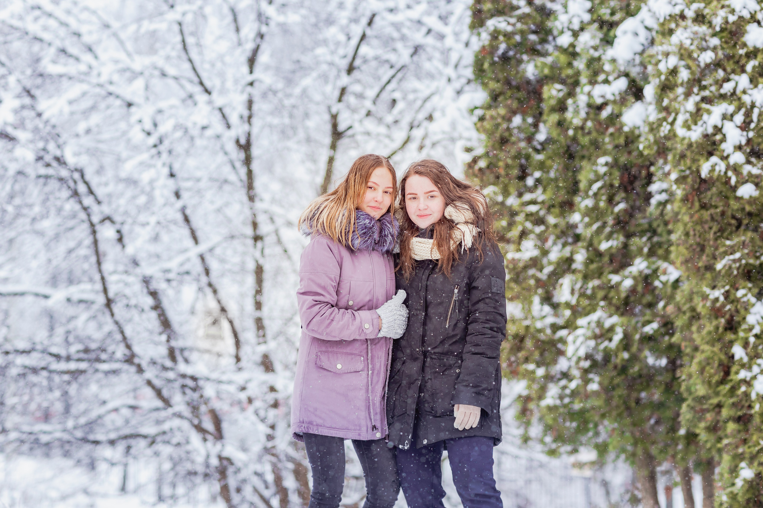 Зимняя прогулка