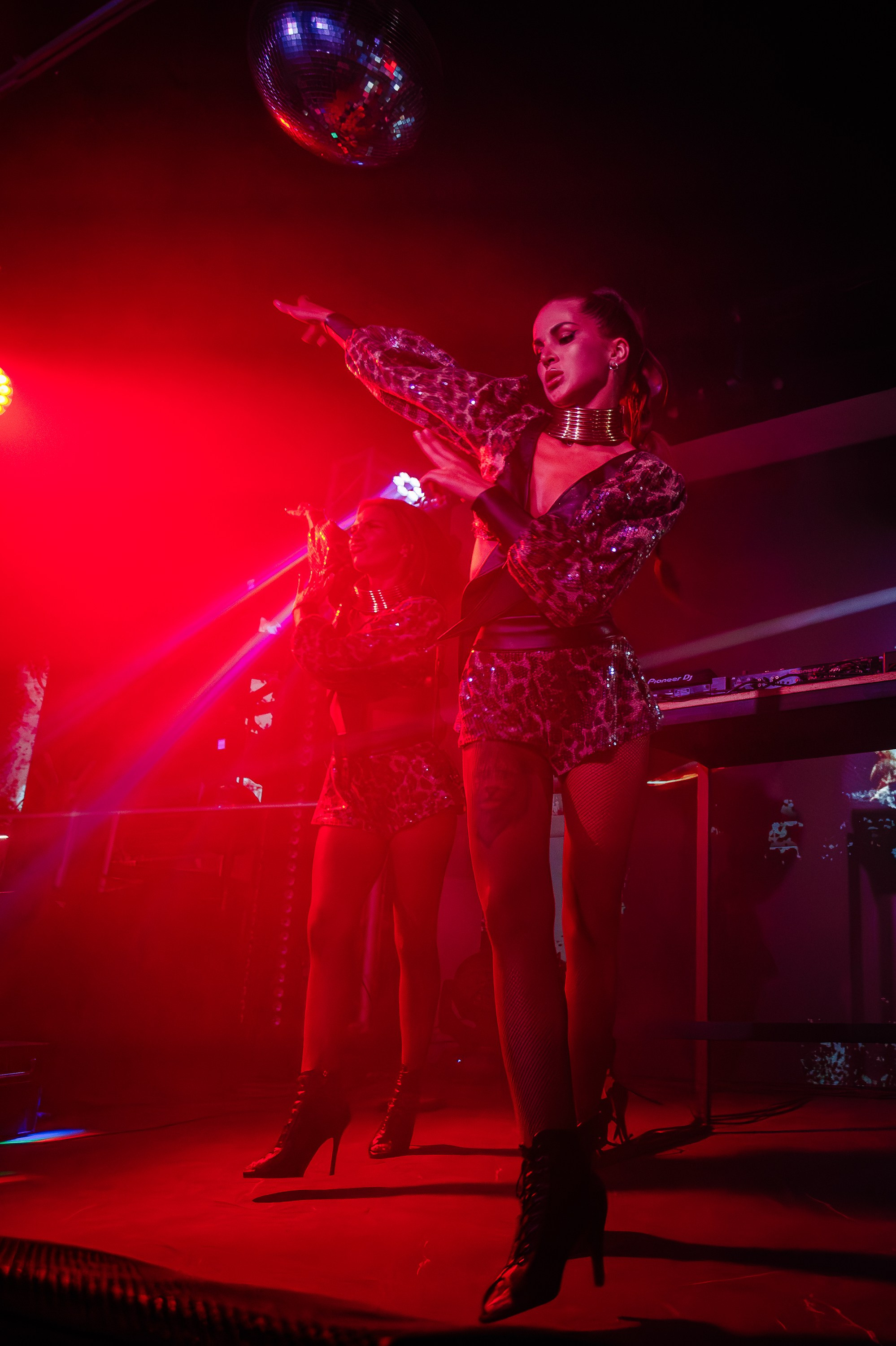 «КРАВЦ"_Чайка на пляже_Ялта_27.08.2025 г. Аминов Руслан | Фотограф