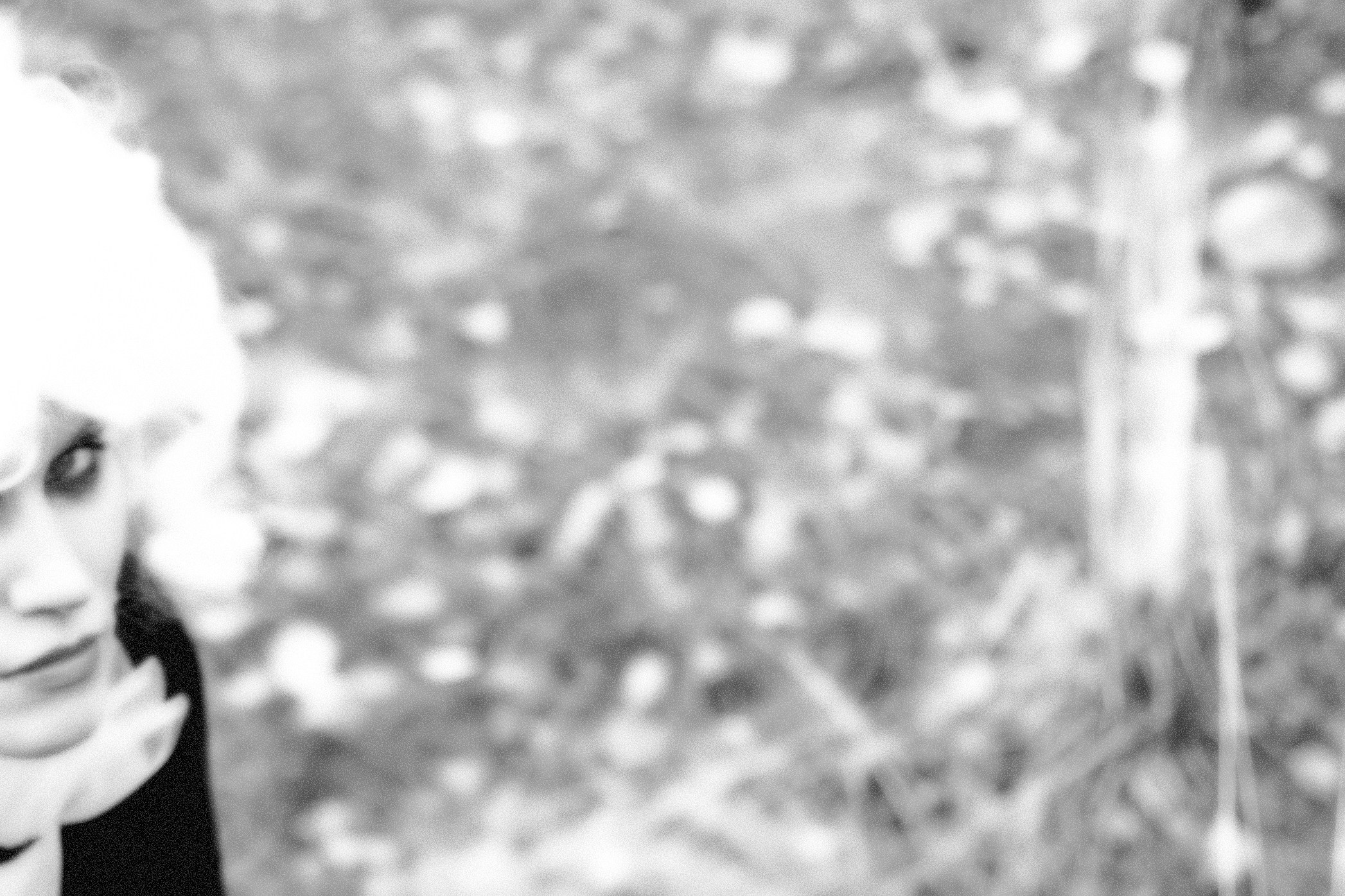 In the witchy woods. Fashion Photographer Oxana Chernomorets