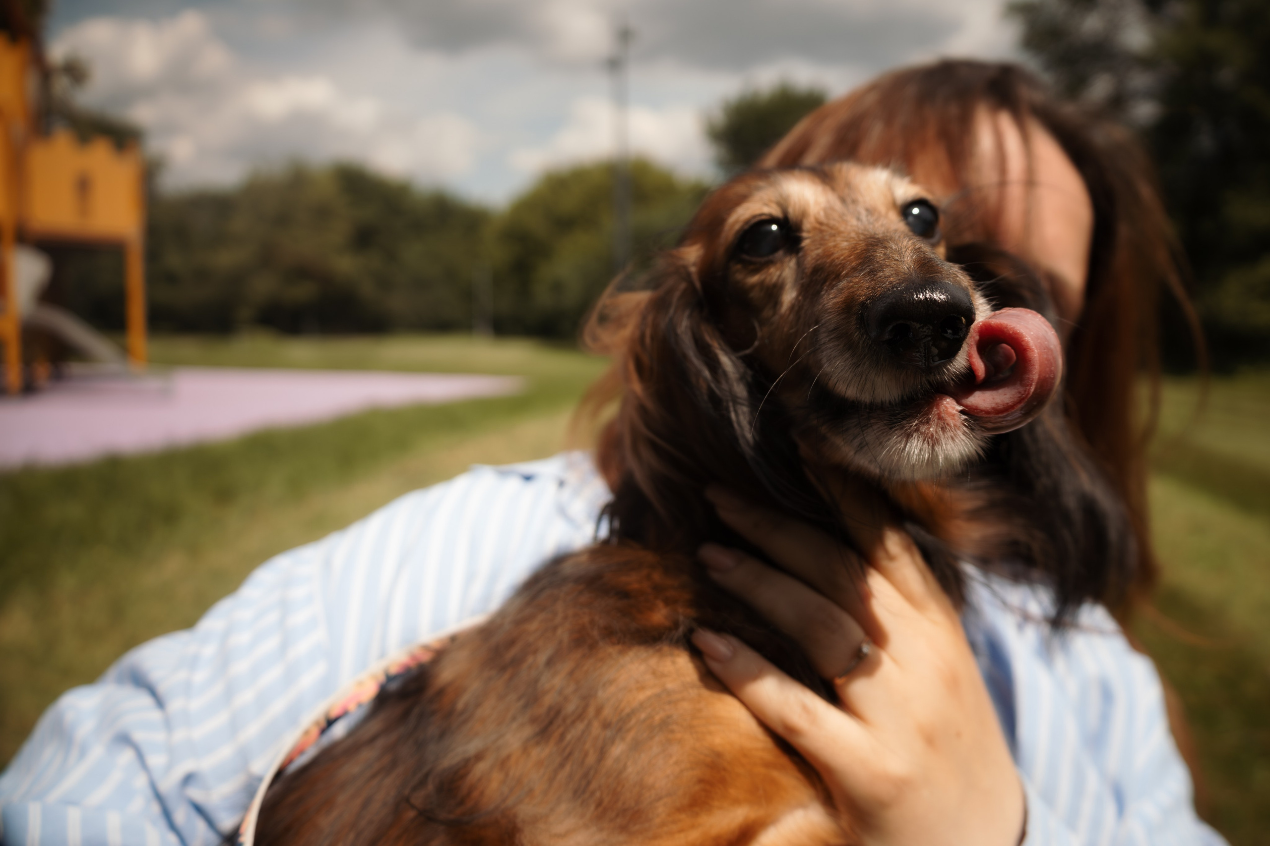 Фотография счастливой собаки