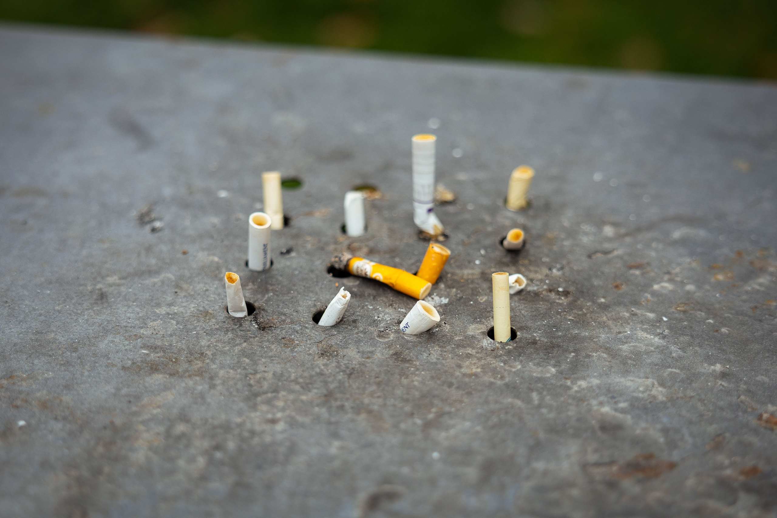 Казахстан (осень 2024). Фотограф Виноградов Константин