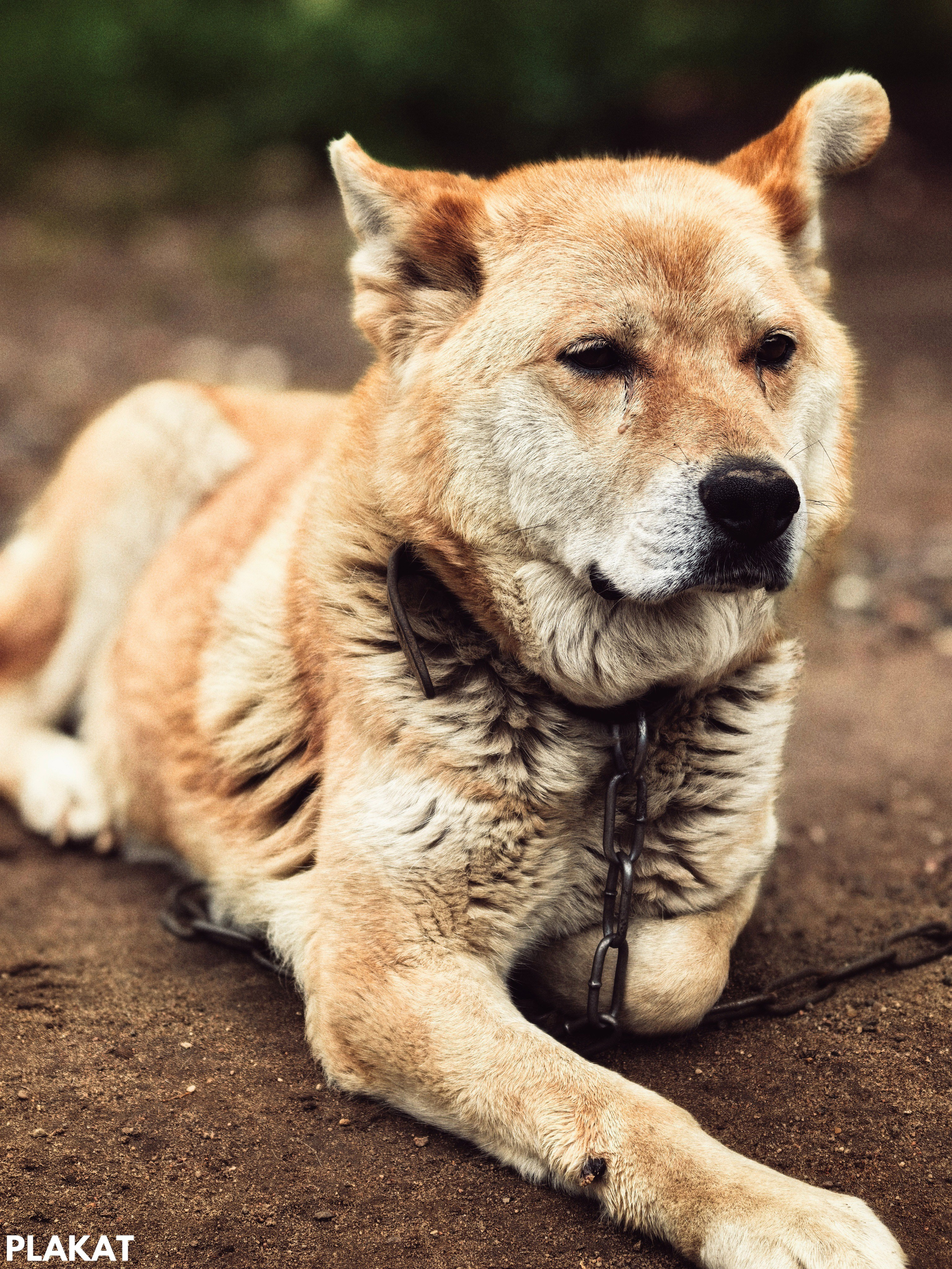 @natallii_zhukovskaya