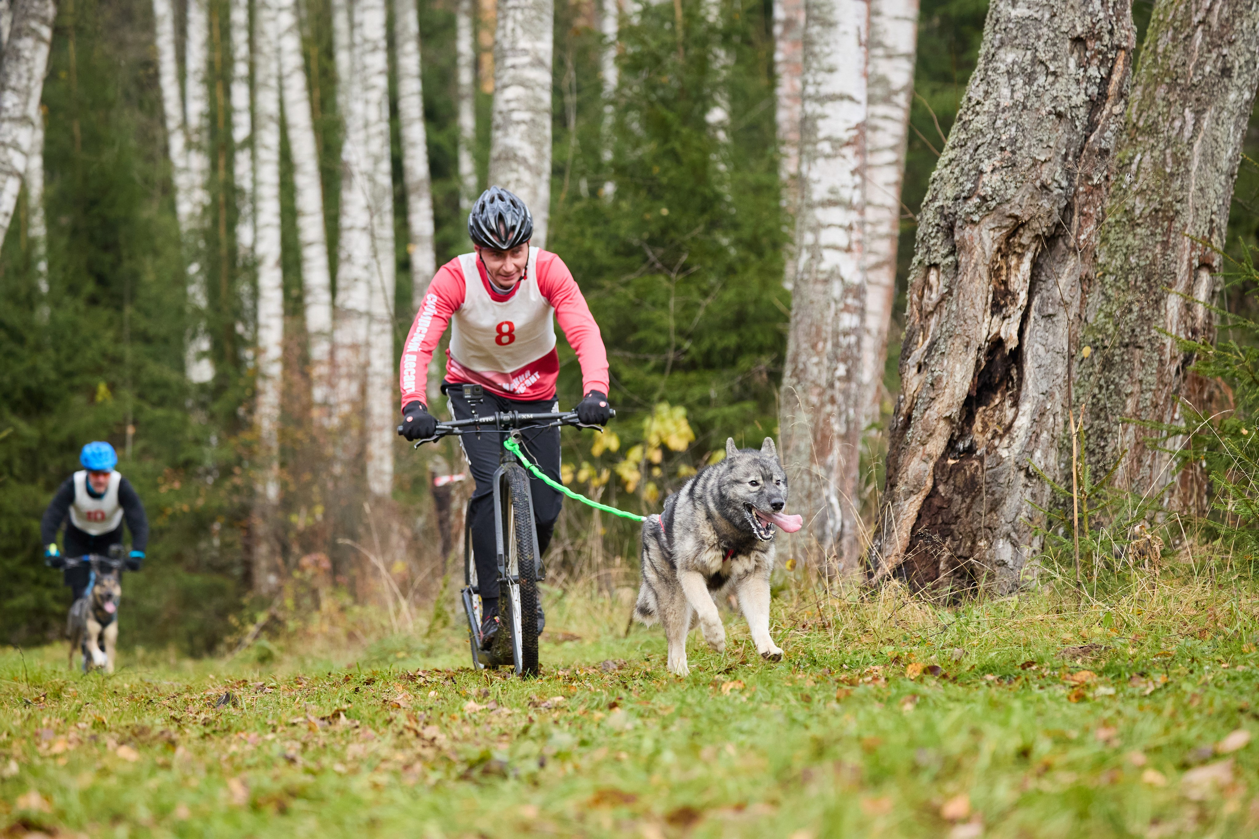 Чемпионат по ЕС Ярославской области. Фотограф Ирина Астор