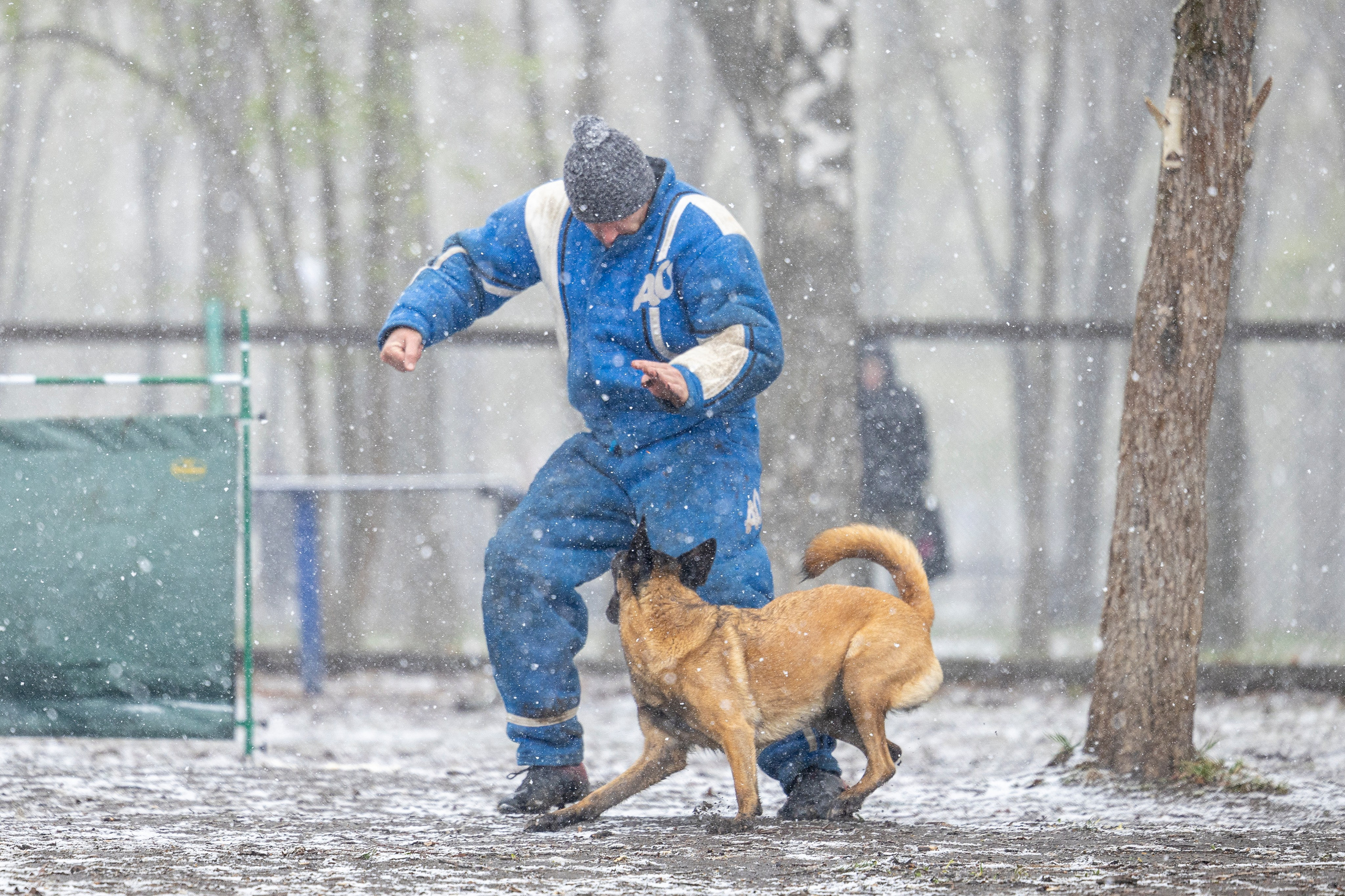 Квалификационные состязания по мондьорингу г. Вологда 11.05.24. Фотограф-анималист Анна Маринич