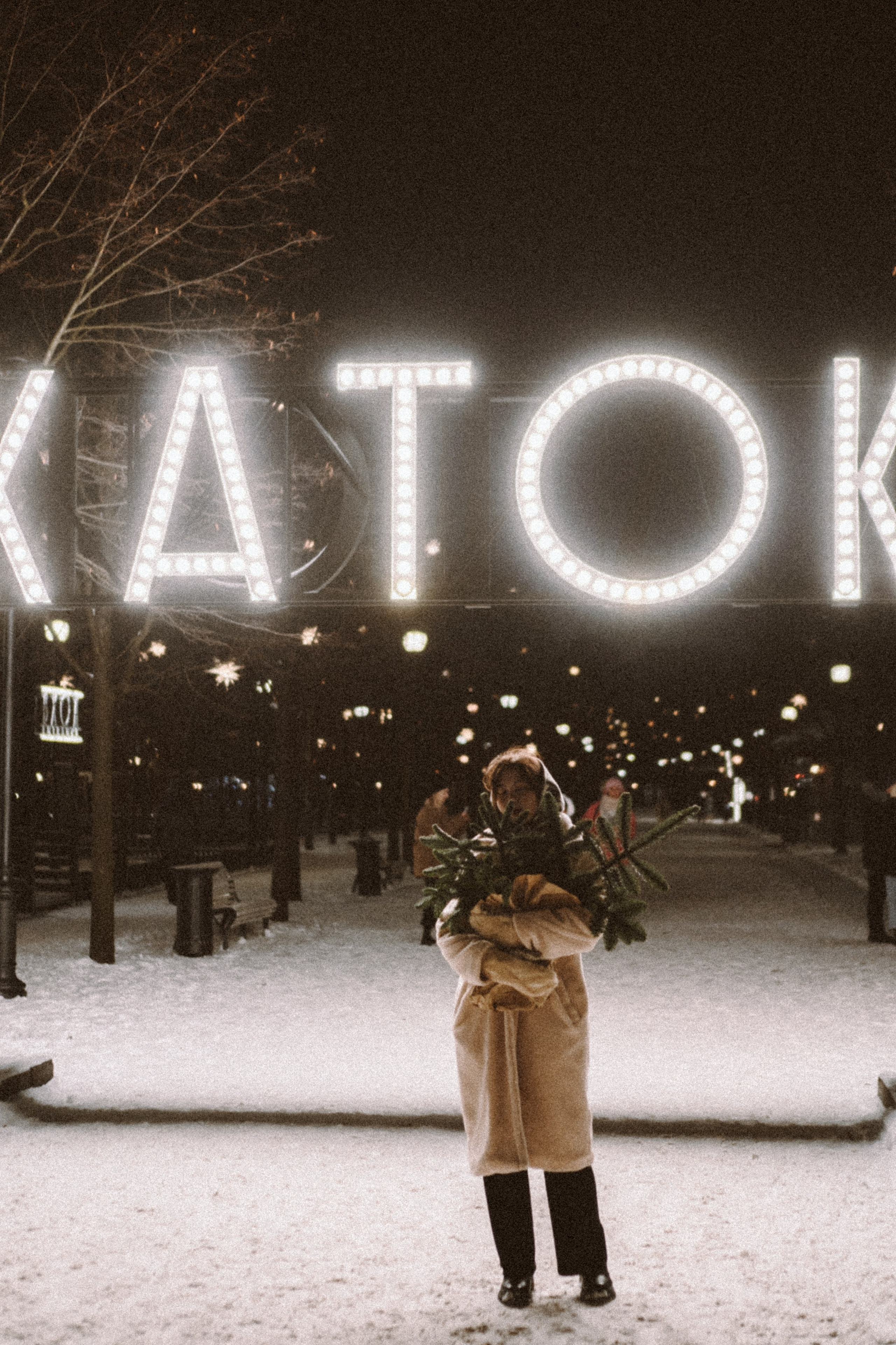 Зимняя сказка в Новой Голандии. Профессиональный фотограф, Санкт-Петербург — Виктория Богомолова