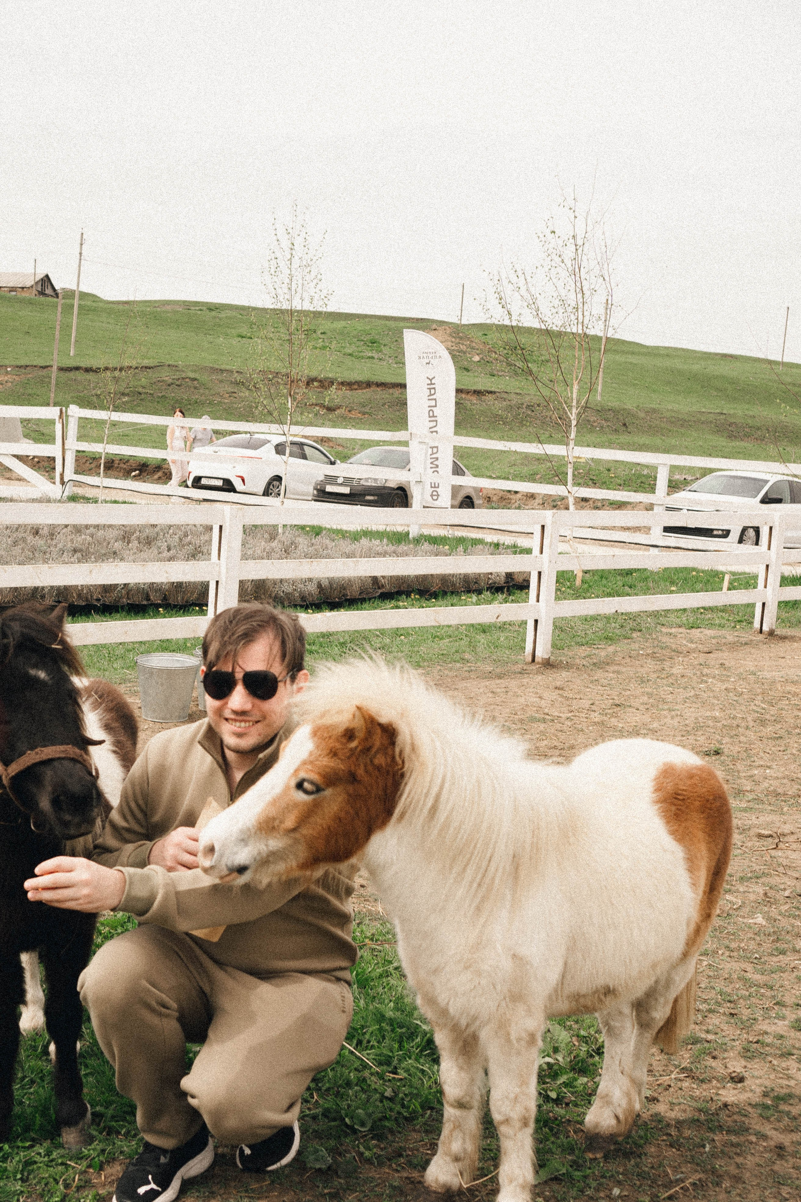 Ферма Альпак. Профессиональный фотограф, Санкт-Петербург — Виктория Богомолова
