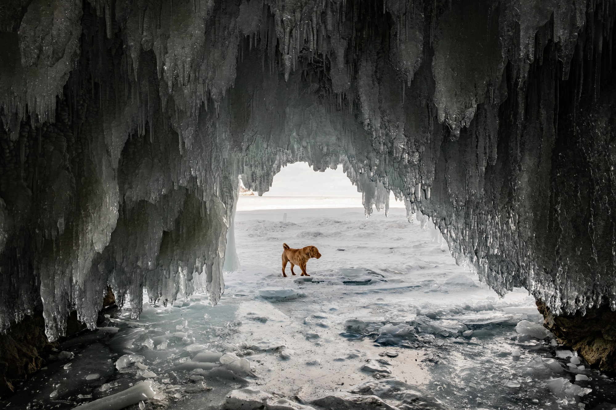 Байкальская Миля. Автоспортивный бренд фотограф в Москве — Виктория Логинова