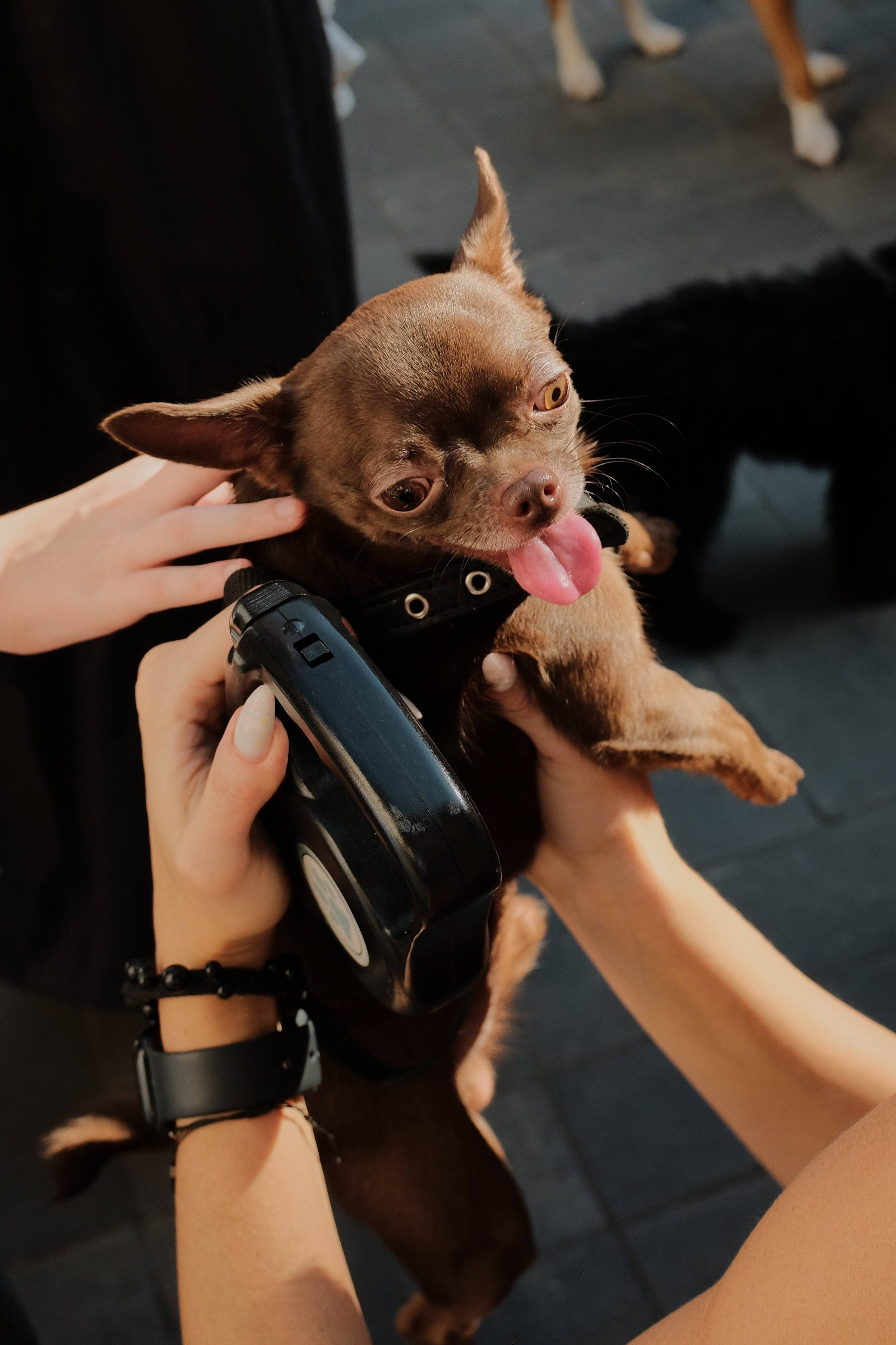 Rostov-on-Don. Creative travel photographer — Berg Daria